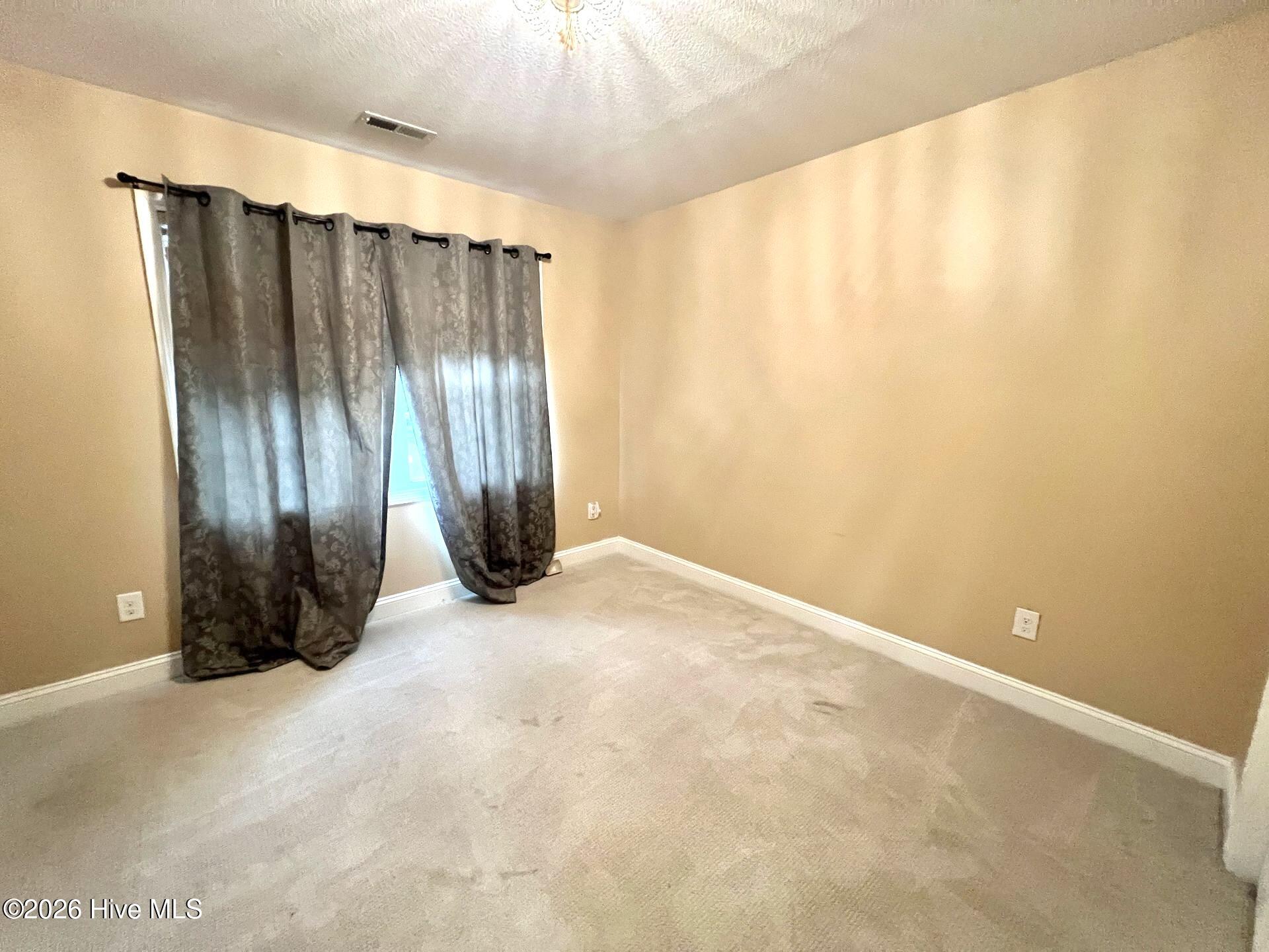 314 Springcreek Court Property Photo 21