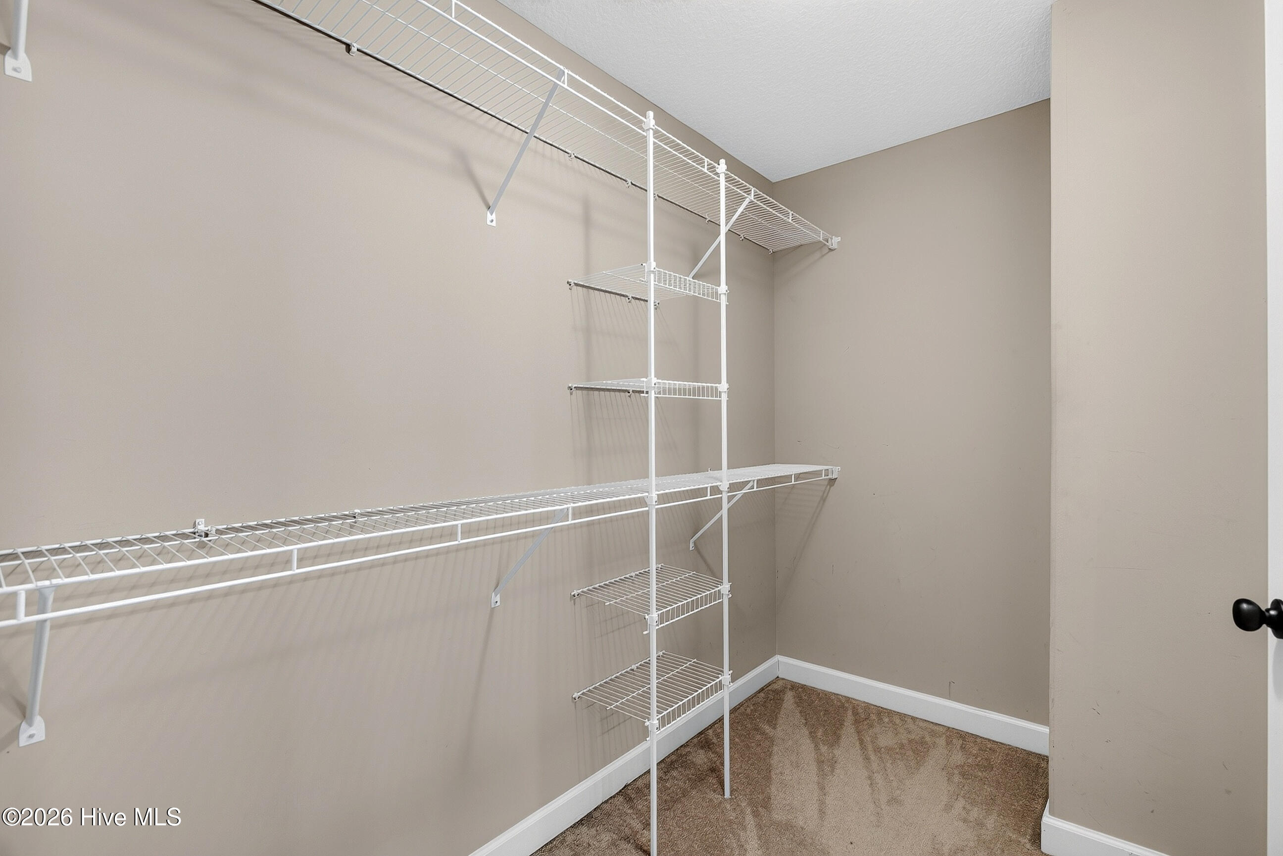 109 Pembury Way Property Photo 19