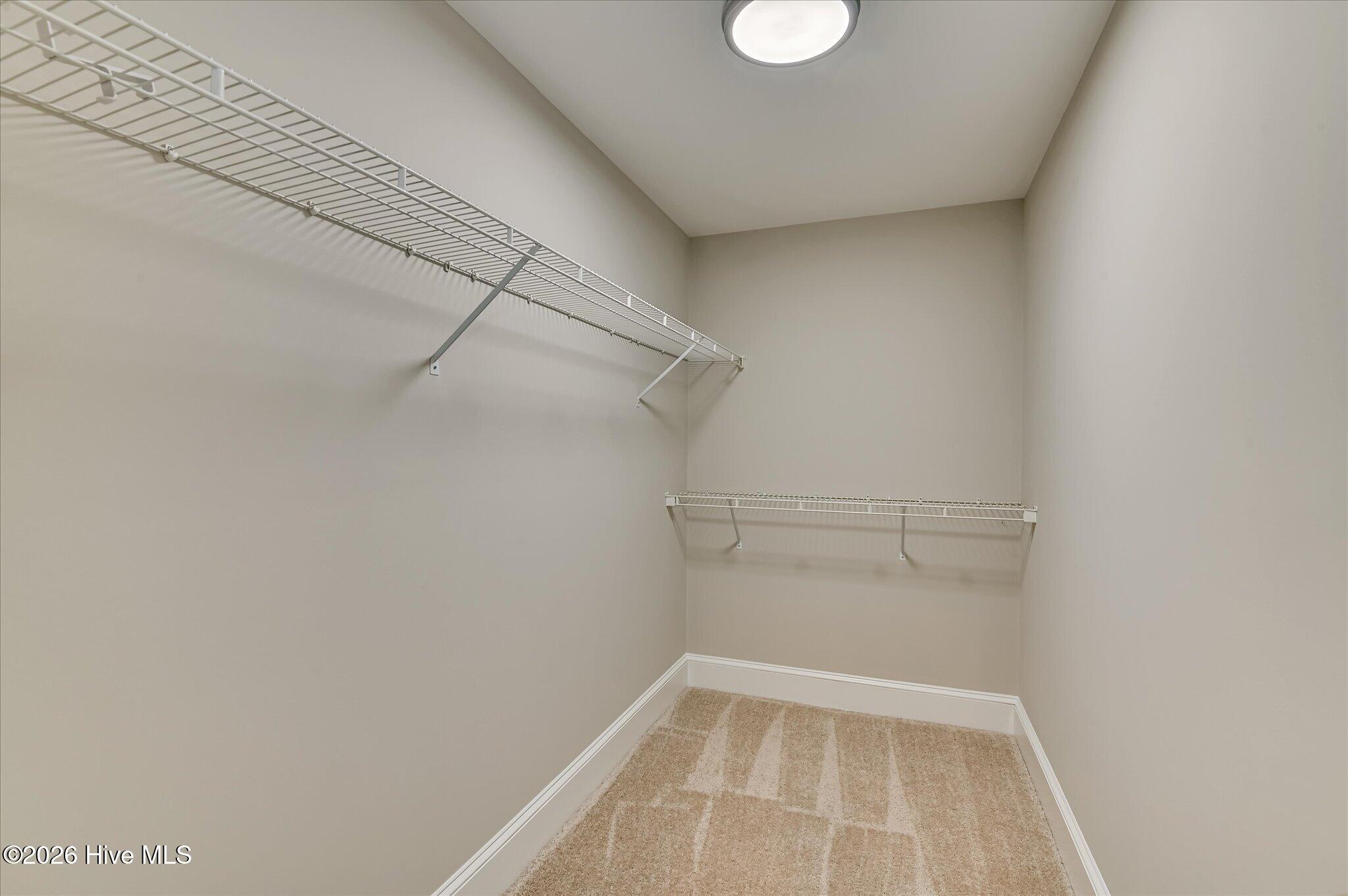 843 Park Chase Drive Property Photo 44