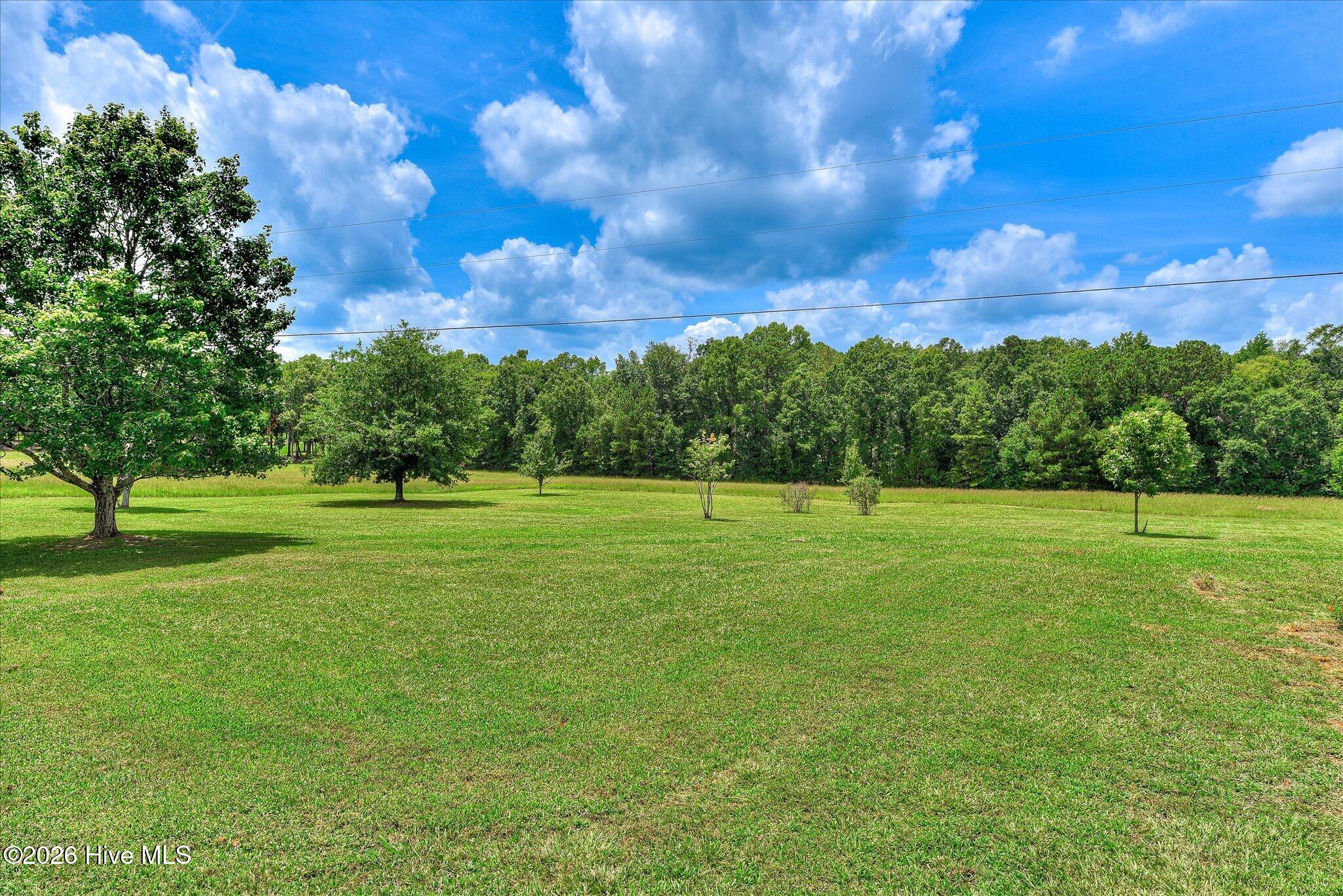 1229 Elberton Highway Property Photo 93