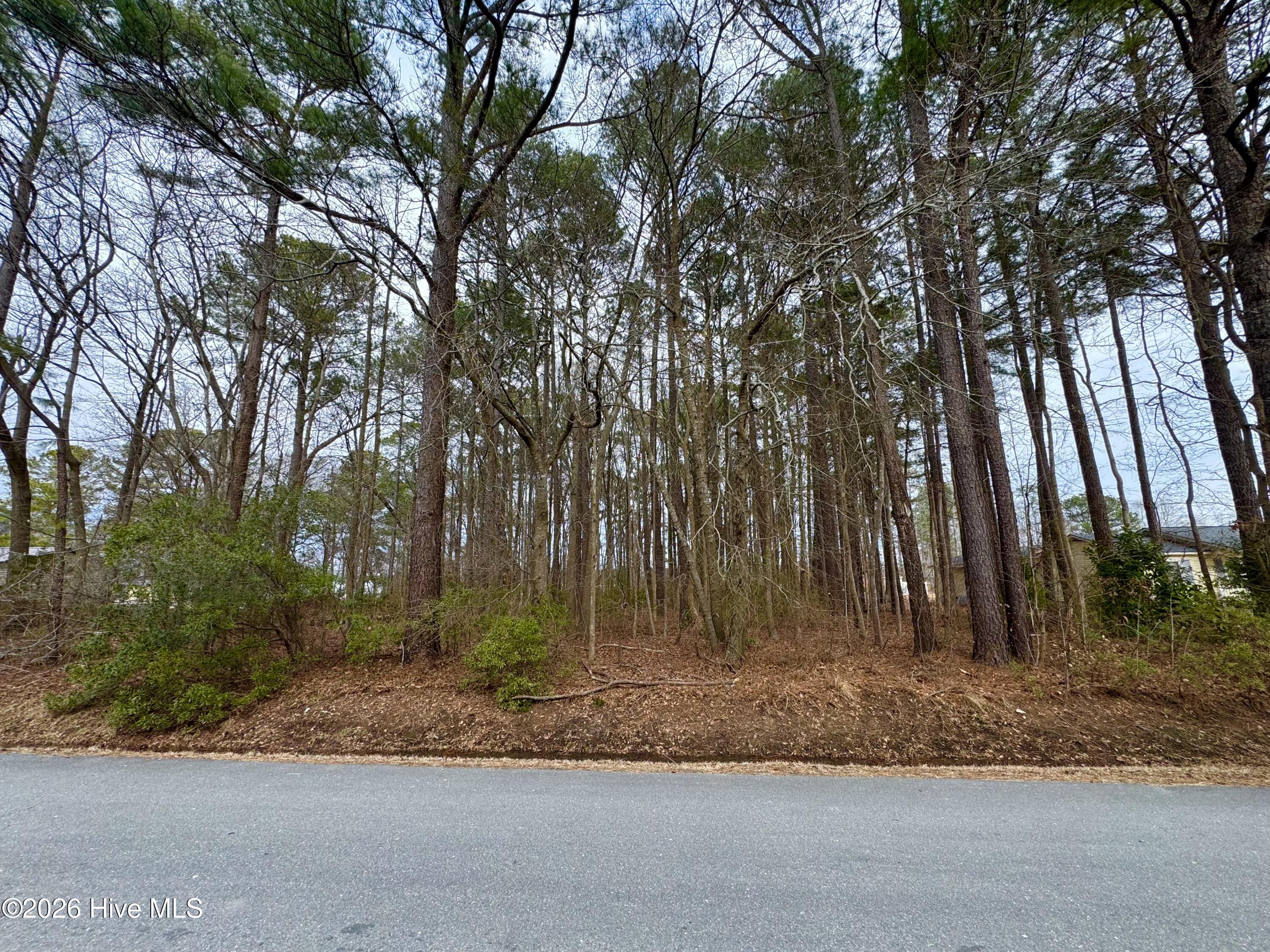0 Lincoln Drive Property Photo 1