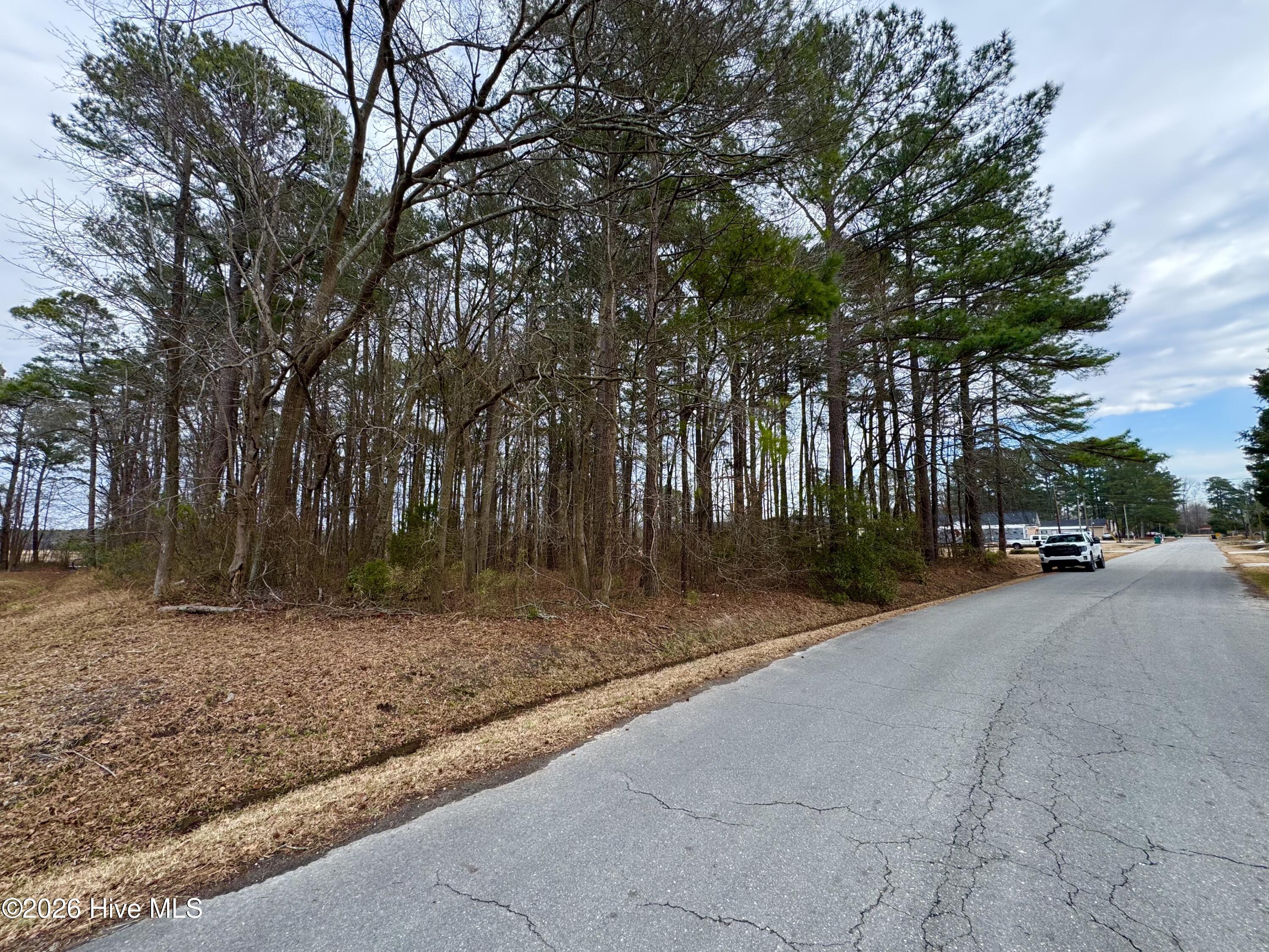 0 Lincoln Drive Property Photo 3