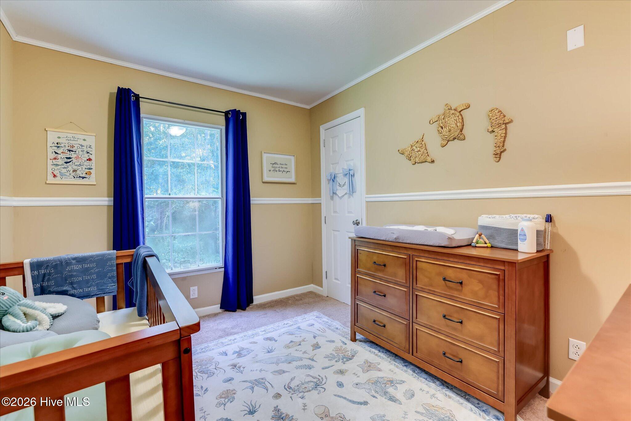 623 Hendricks Hill Drive Property Photo 18