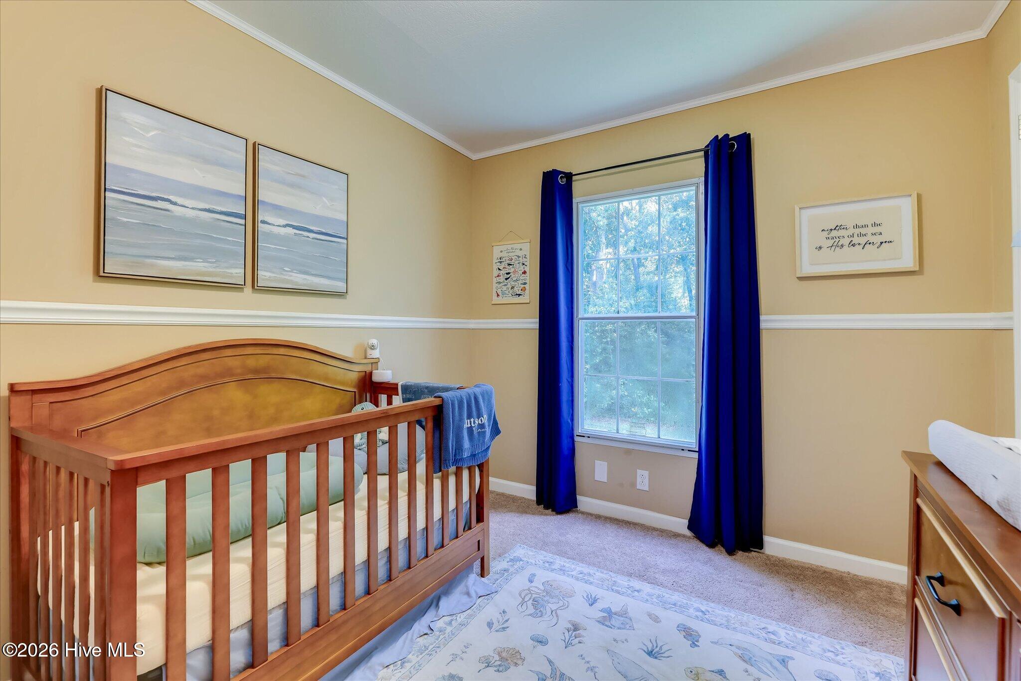 623 Hendricks Hill Drive Property Photo 19