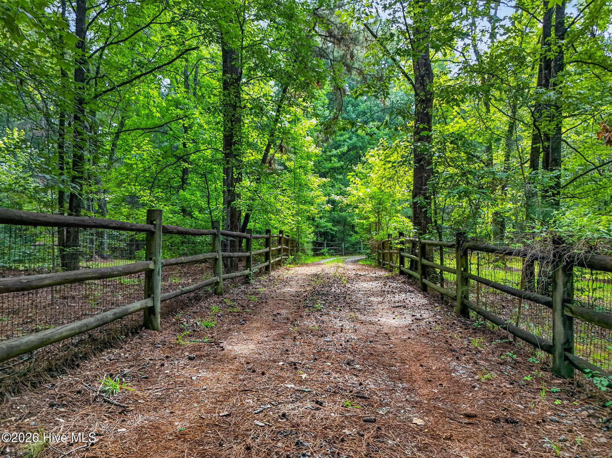 1285 Cool Springs Road Property Photo 33