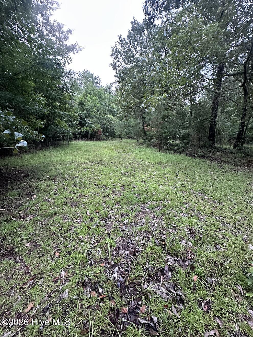 844 Sweet Raspberry Lane Property Photo 5