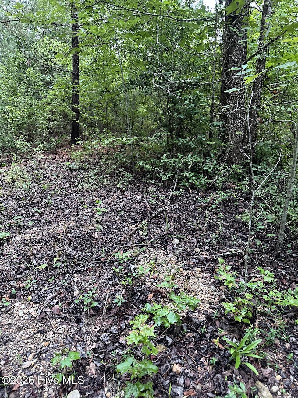 844 Sweet Raspberry Lane Property Photo 10