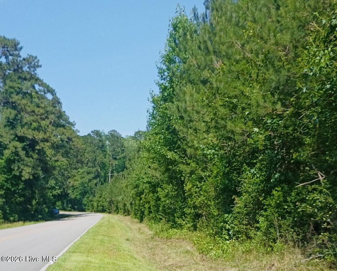 82 Acres Point Caswell Rd Road Property Photo 1