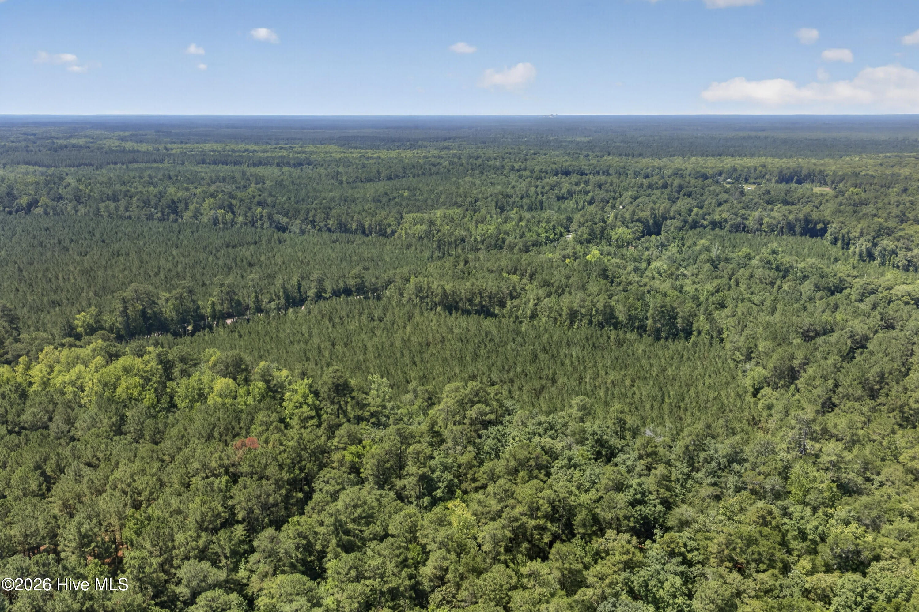 82 Acres Point Caswell Rd Road Property Photo 8