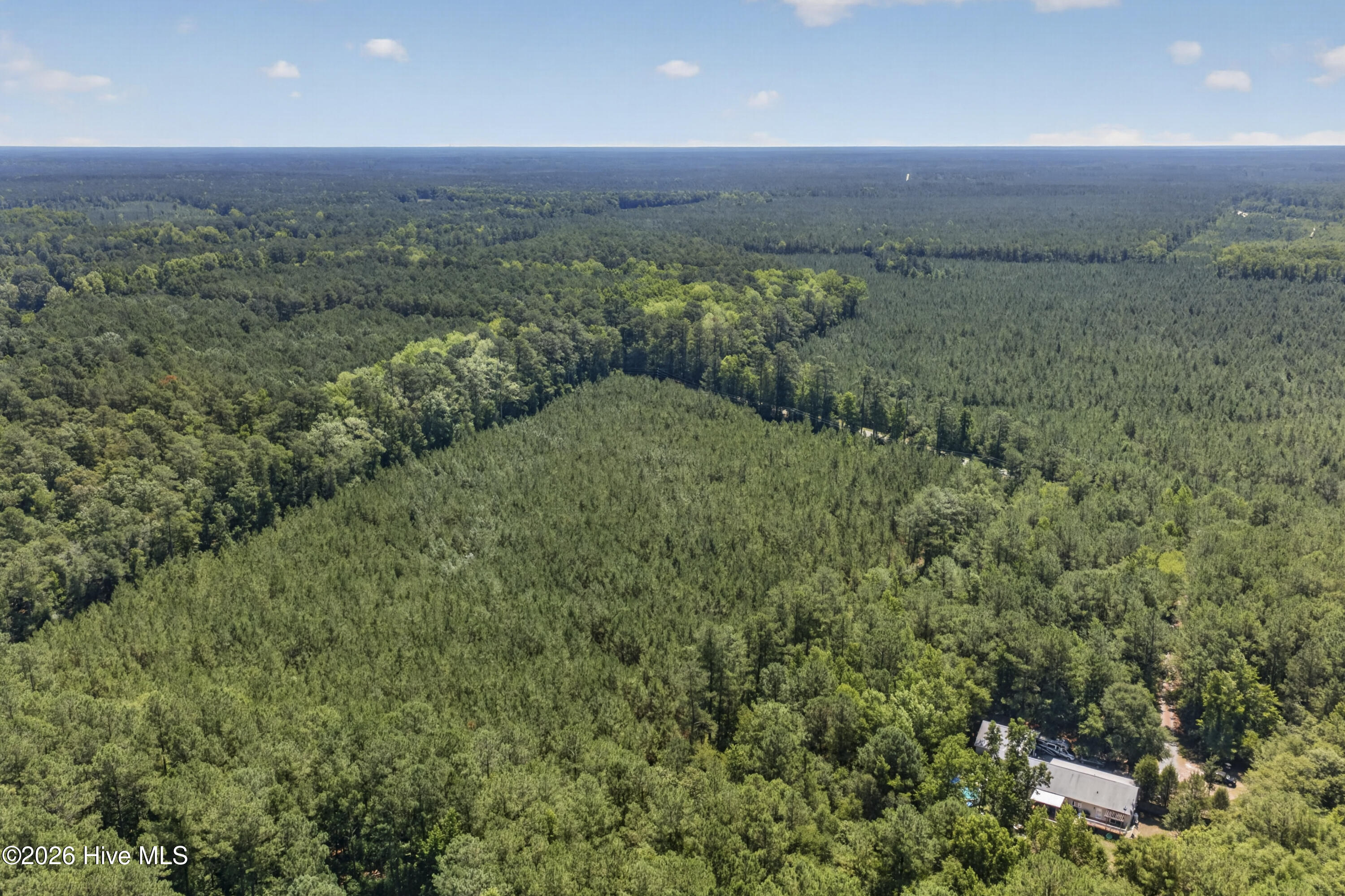 82 Acres Point Caswell Rd Road Property Photo 11