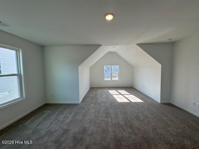 2008 Red Woodpeckers Court Property Photo 16