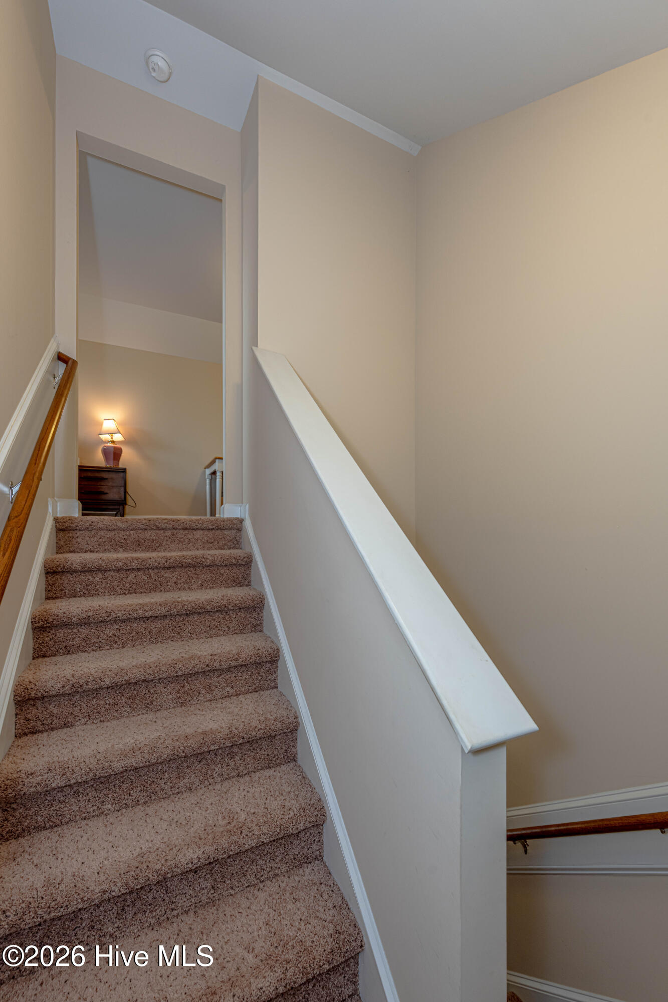 508 Louvre Lane Property Photo 29