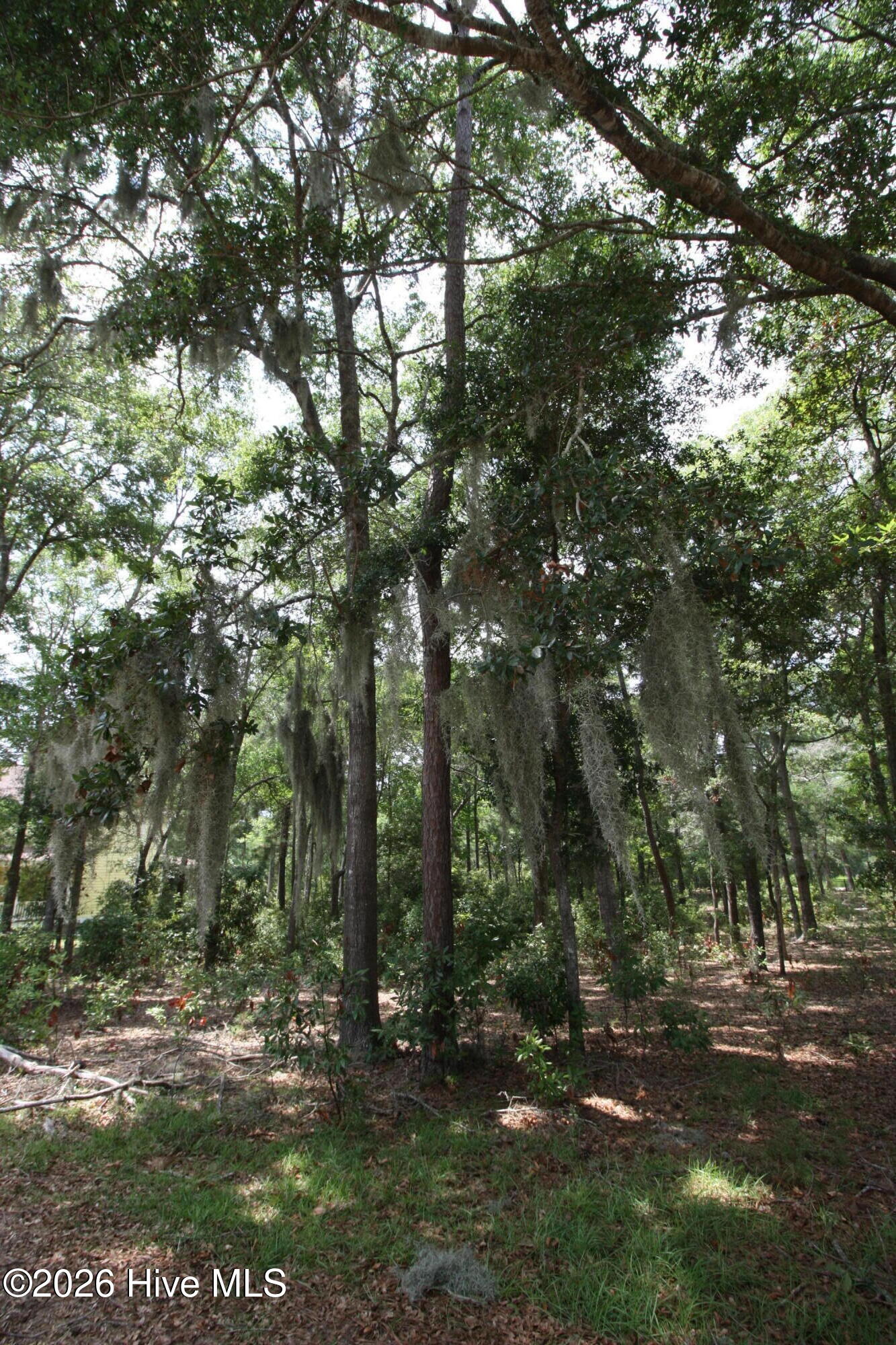 1901 244 Redfish Run Sw Property Photo 5