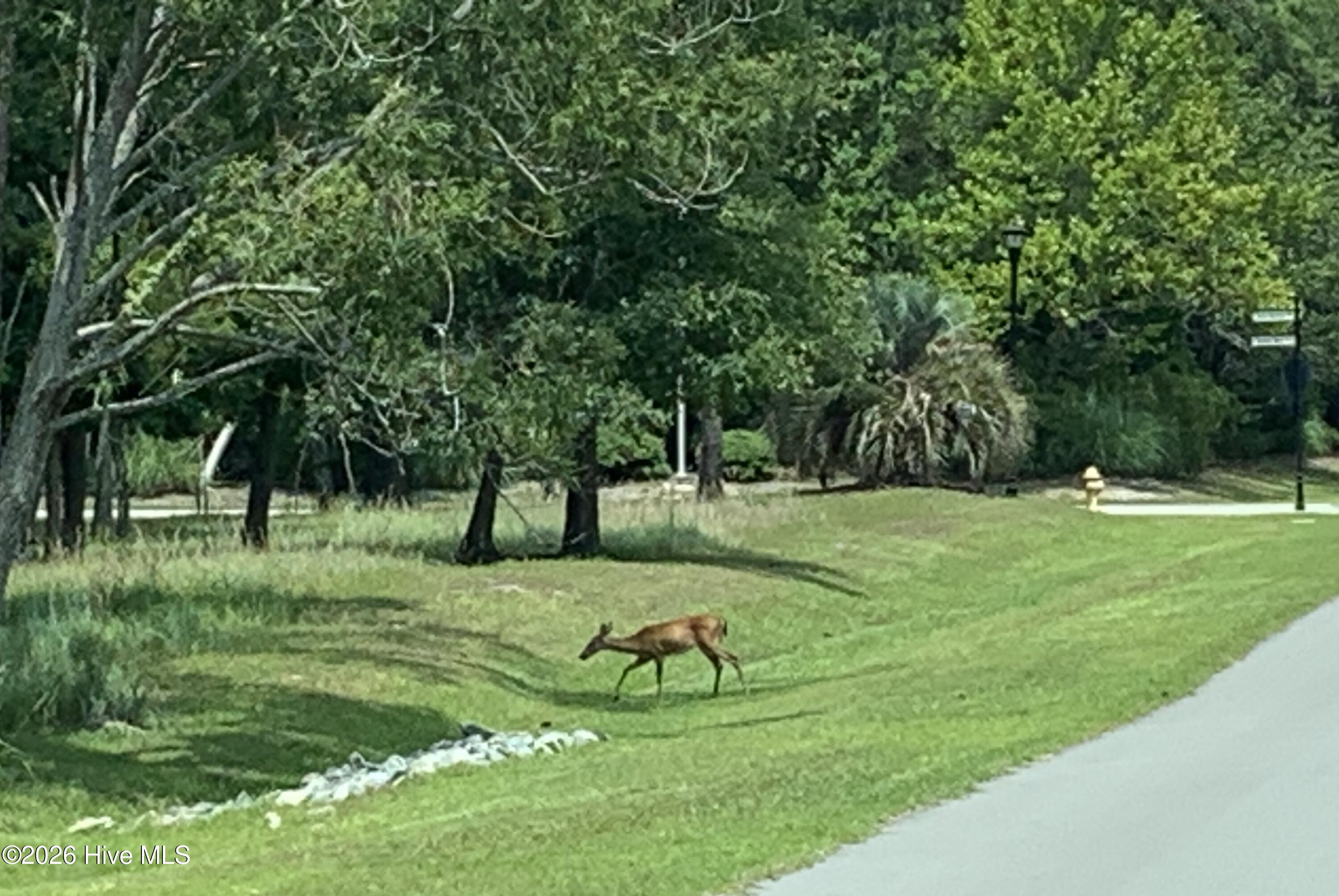1901 244 Redfish Run Sw Property Photo 60