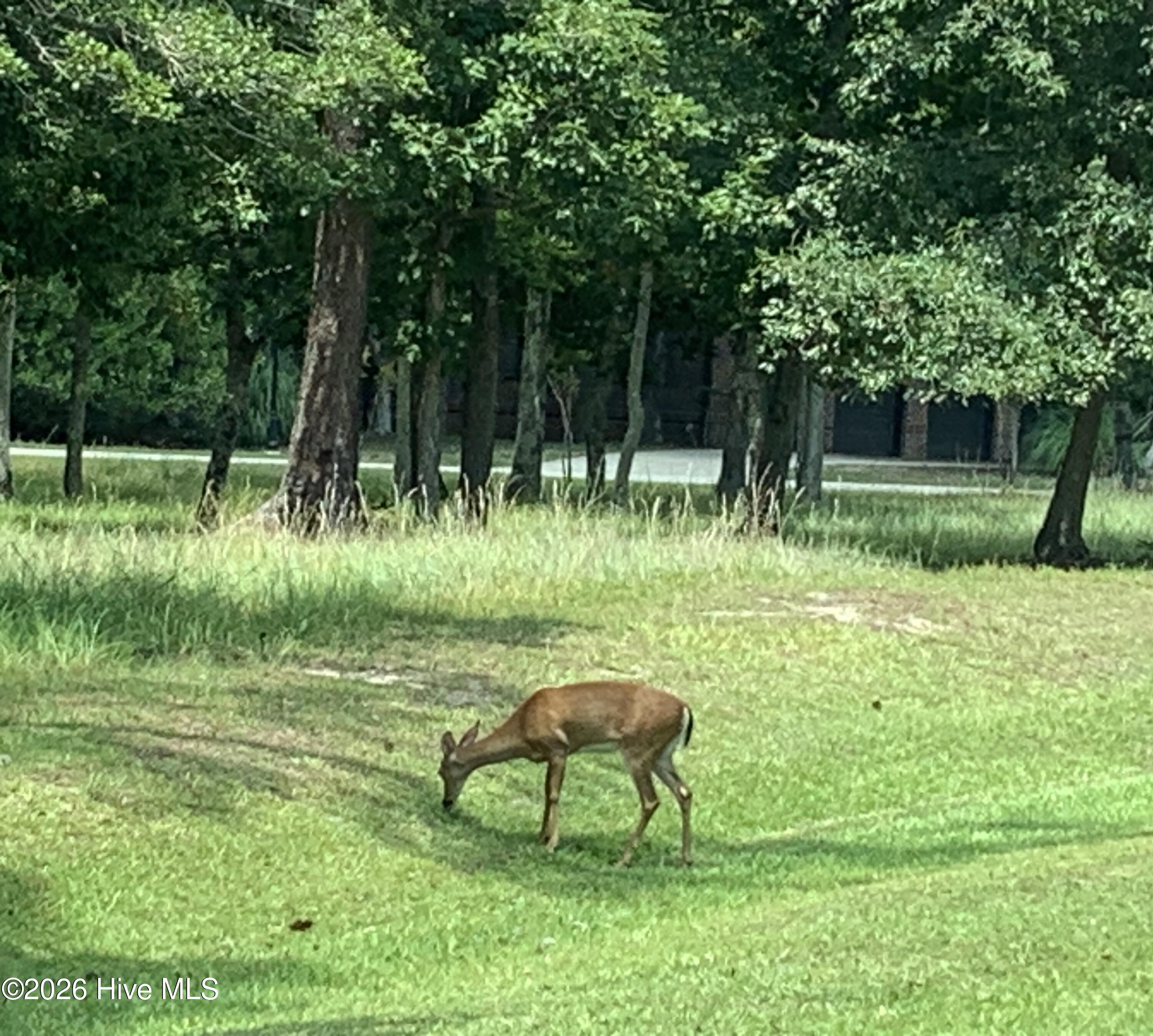 1901 244 Redfish Run Sw Property Photo 61