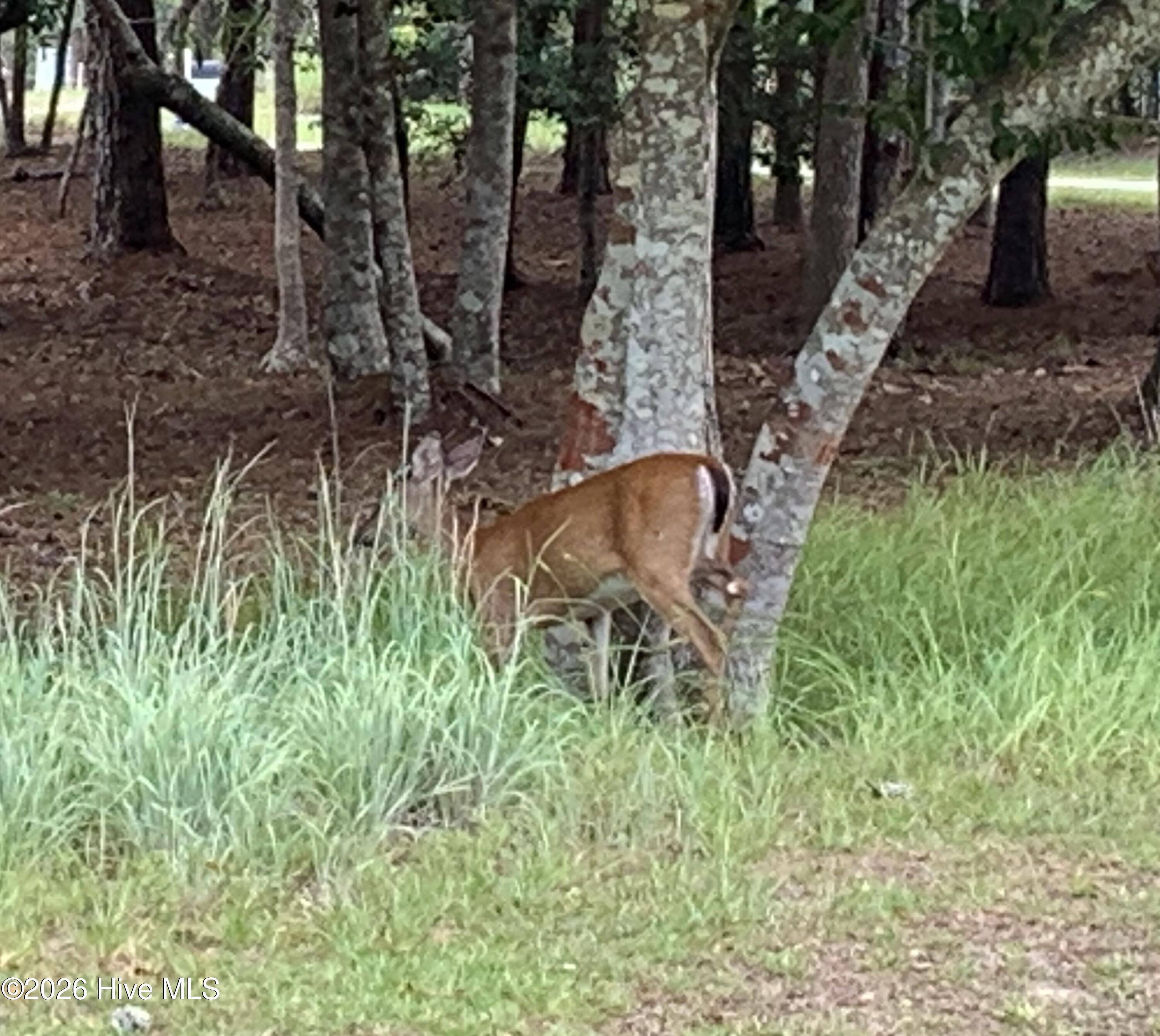1901 244 Redfish Run Sw Property Photo 62