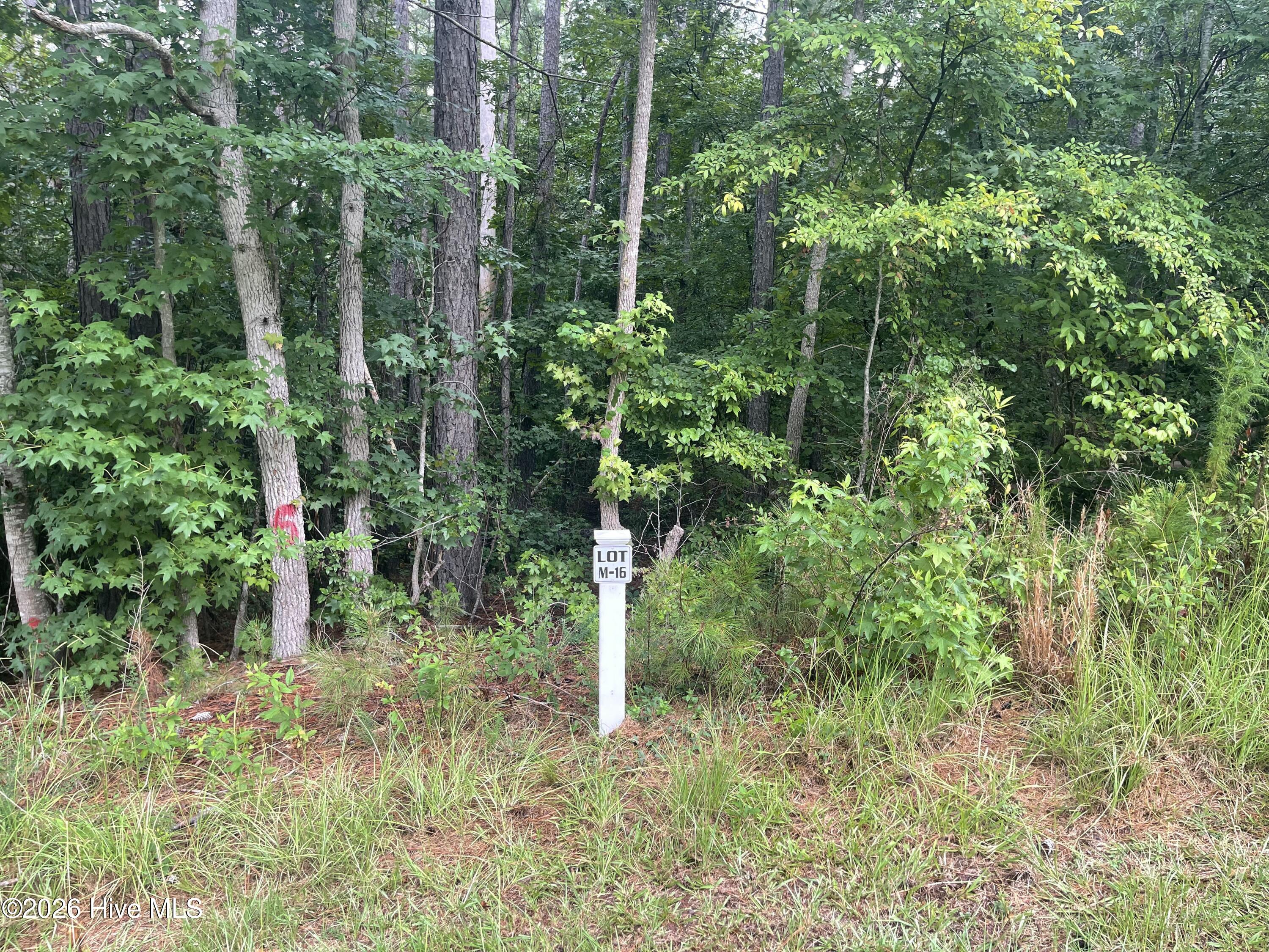 Lot M-16 Cavalry Run Property Photo 1