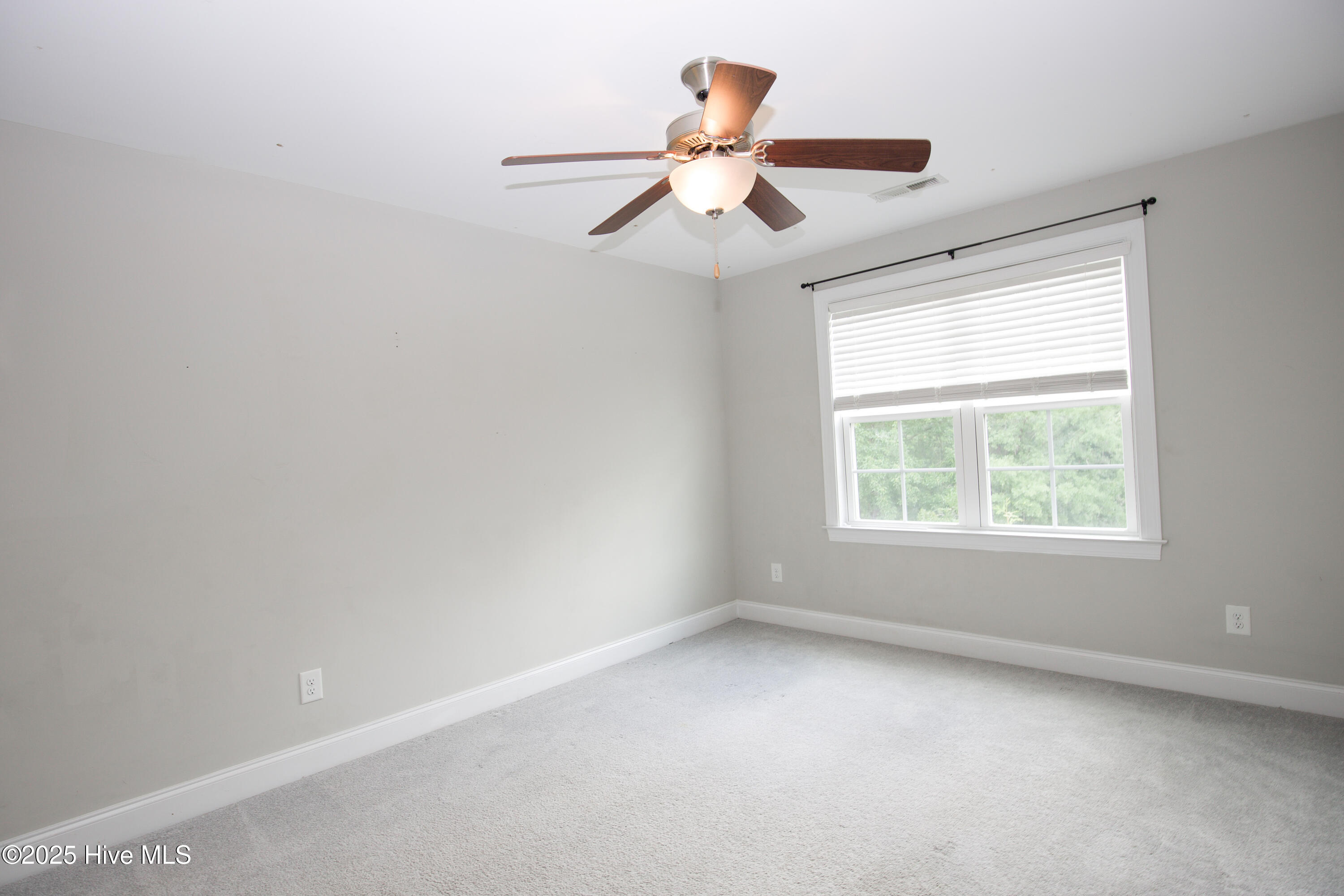 25 Forrest Drive Property Photo 50