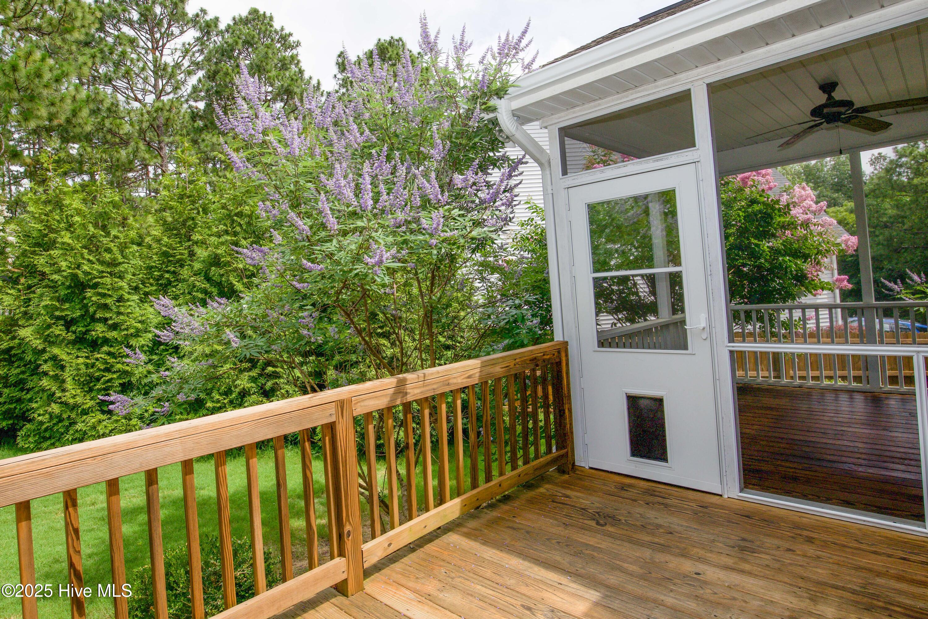 25 Forrest Drive Property Photo 63