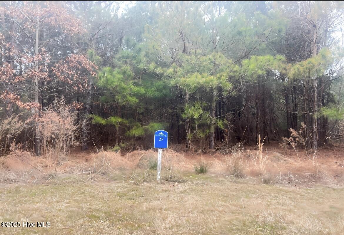 804 27 Batts Island Road Property Photo 7