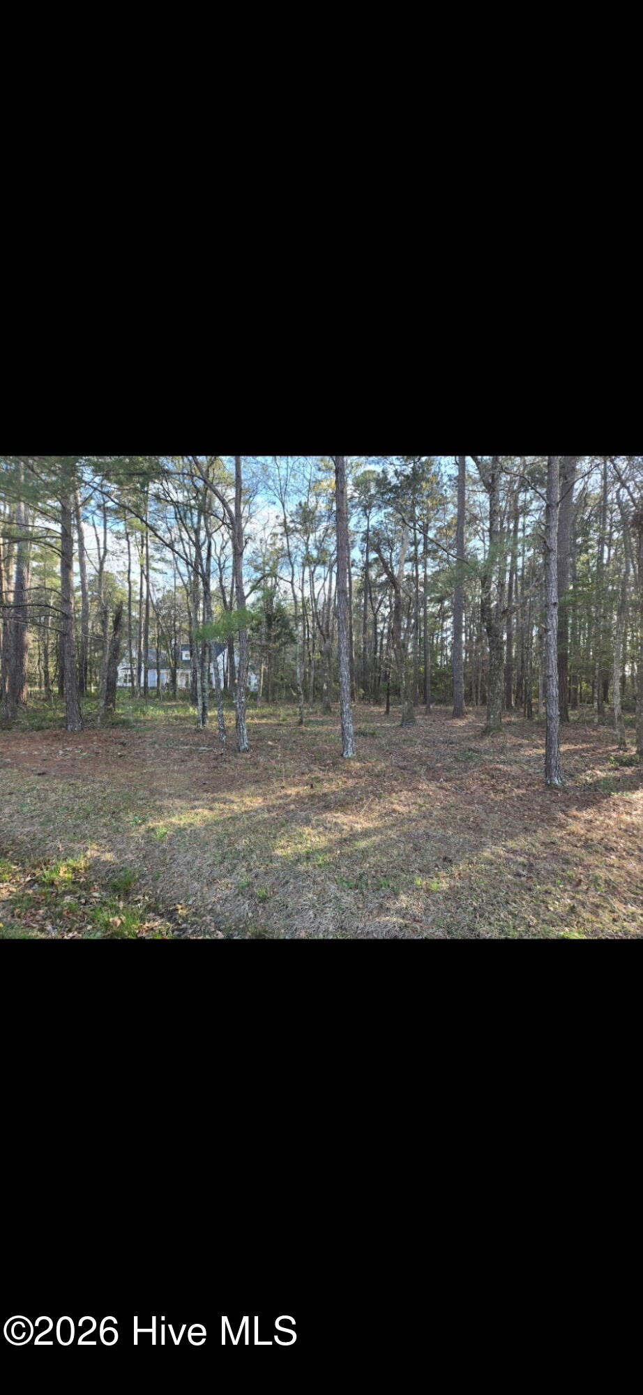 201 38 Long Creek Drive Property Photo 11