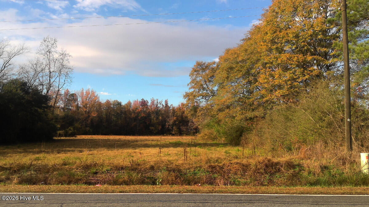 1.77 Ac Will Baker Road Property Photo 2