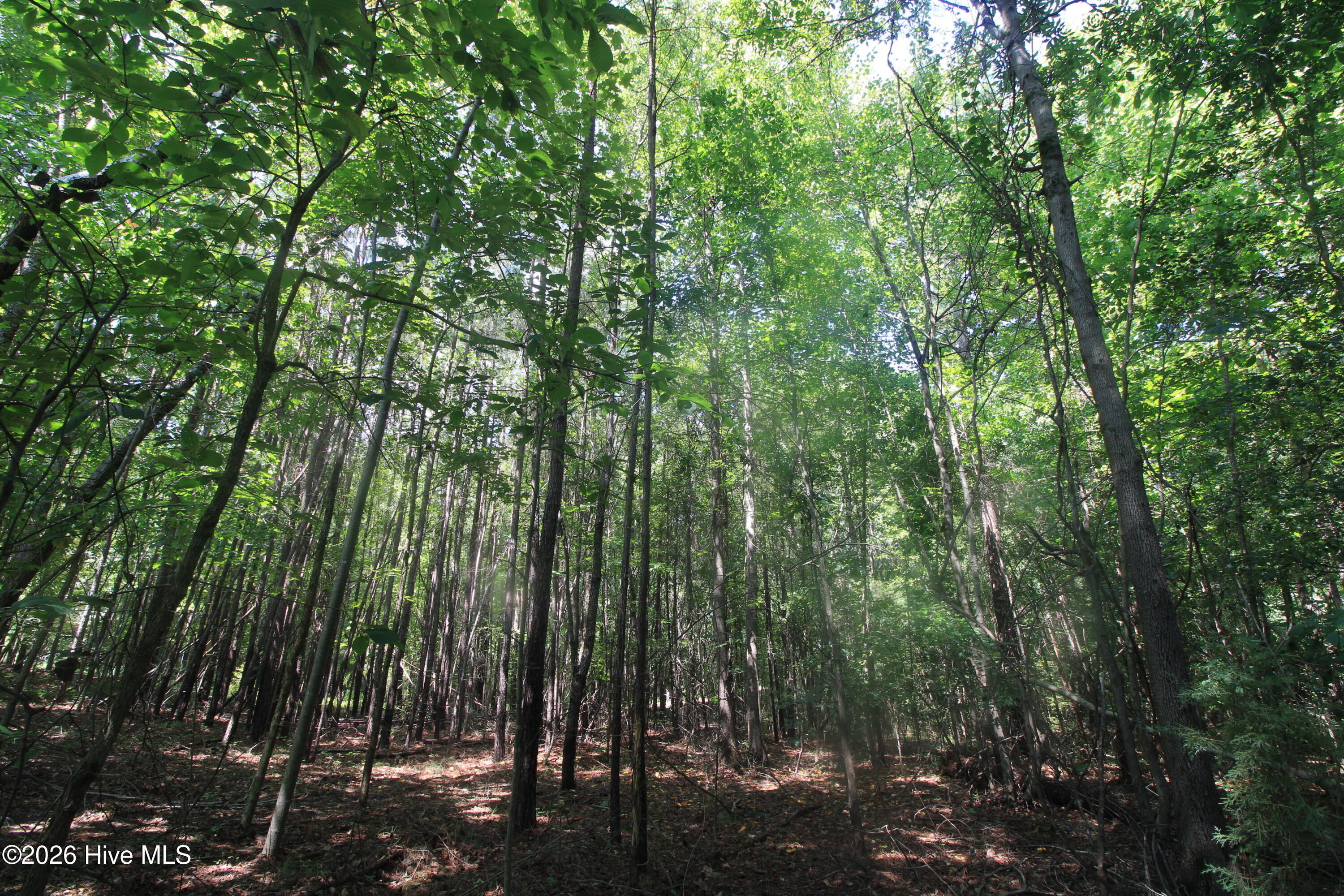 0 Crowatan Trail Property Photo 5