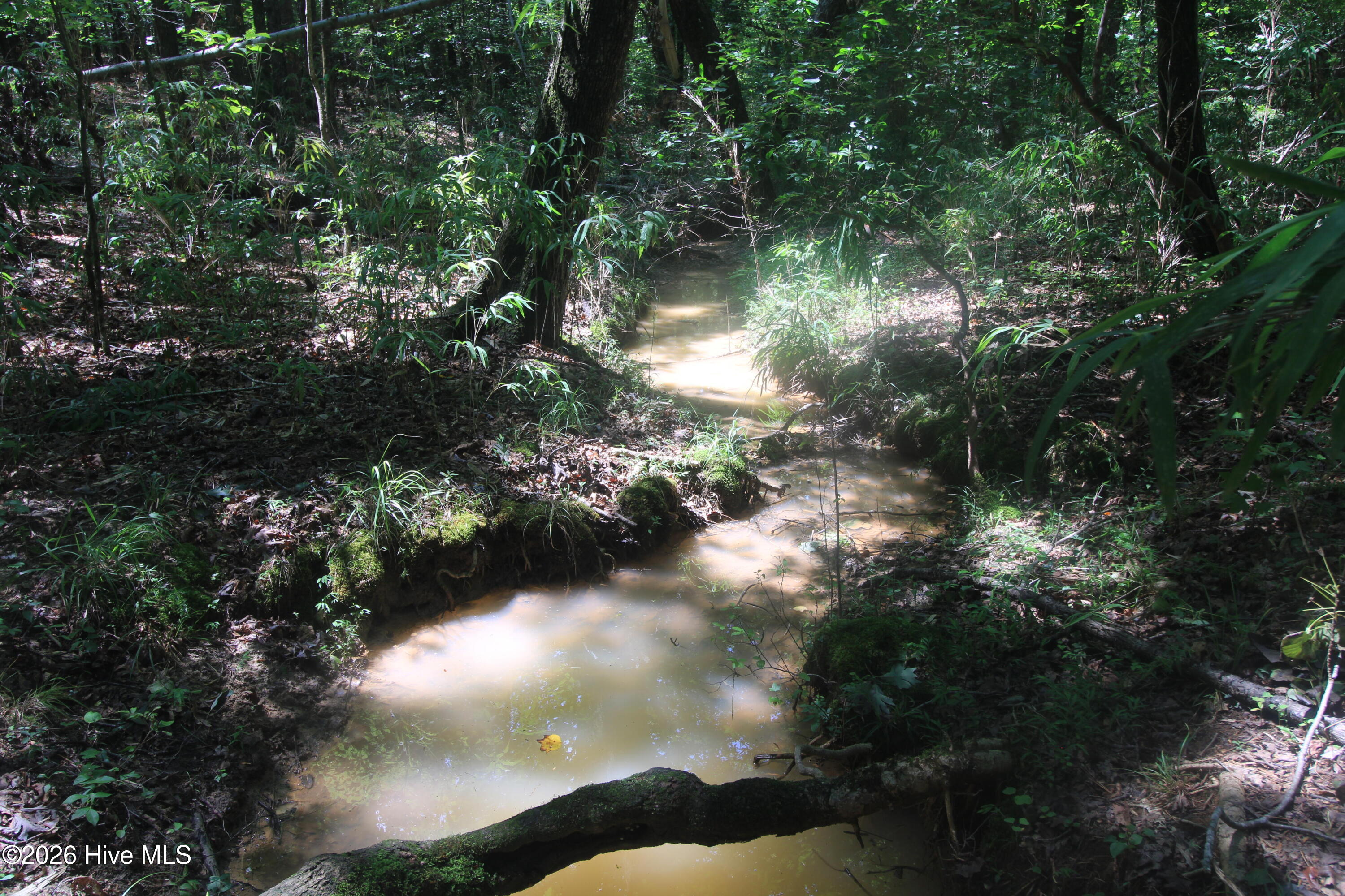 0 Crowatan Trail Property Photo 6