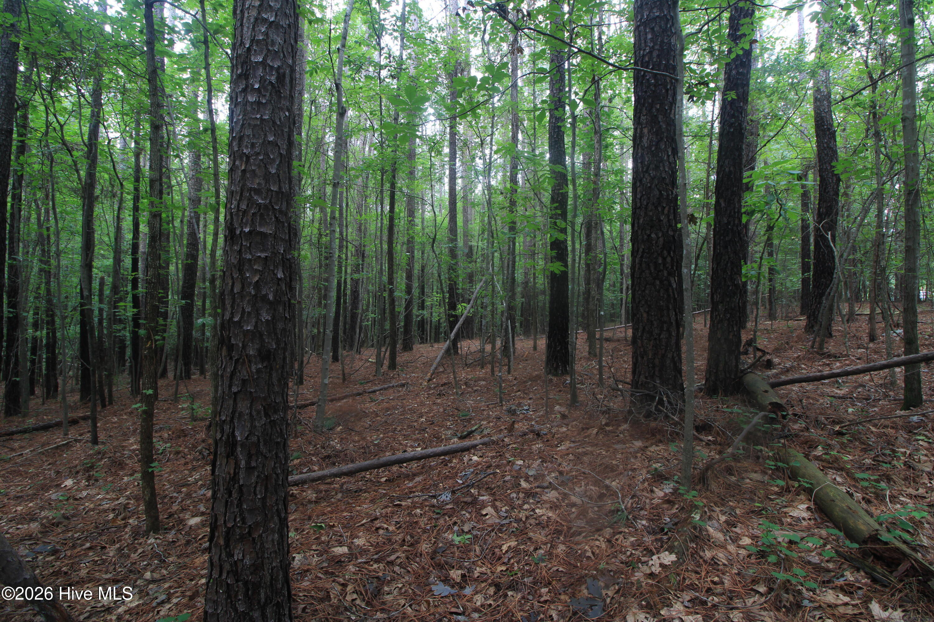 0 Crowatan Trail Property Photo 7