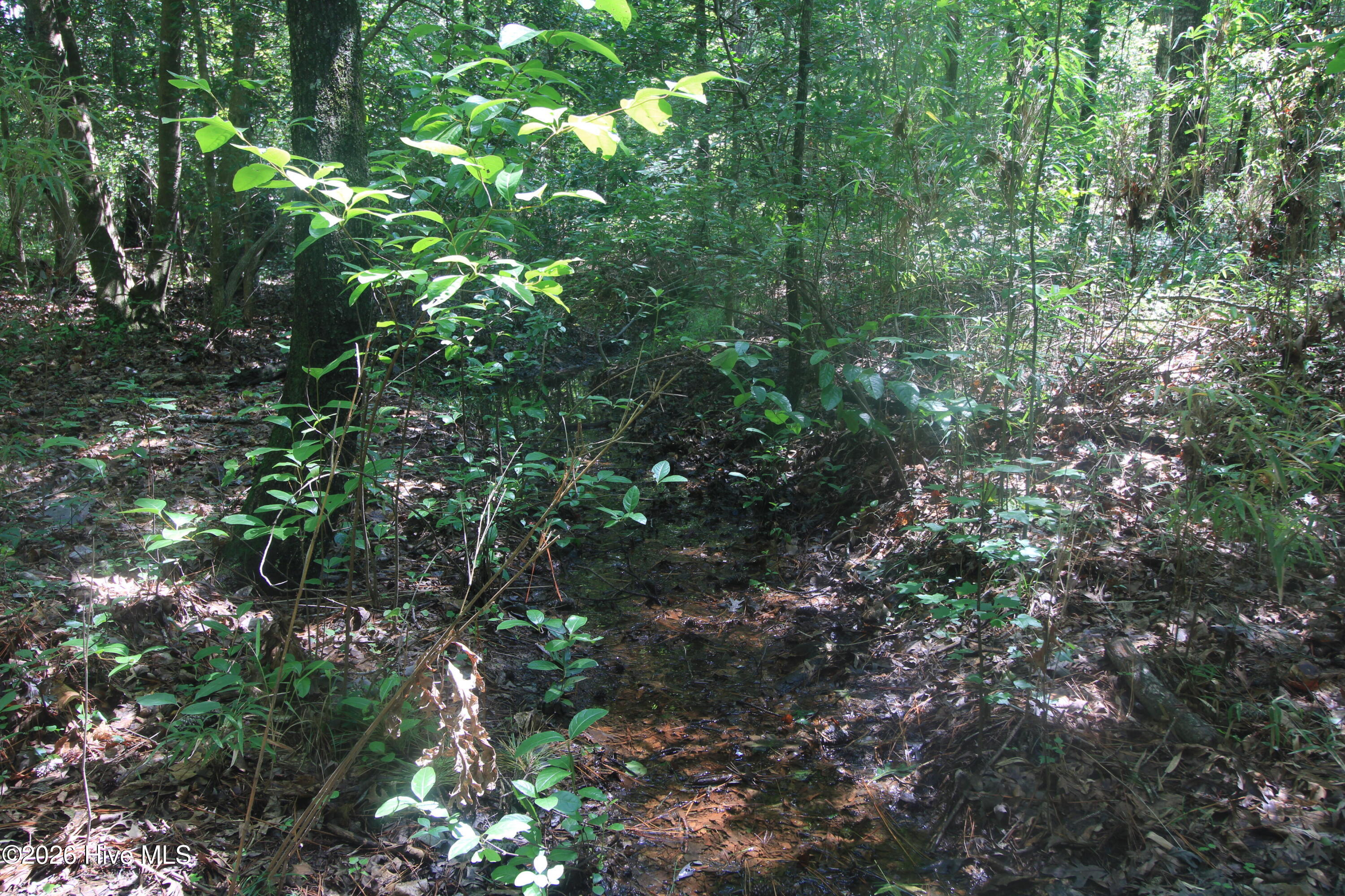 0 Crowatan Trail Property Photo 9