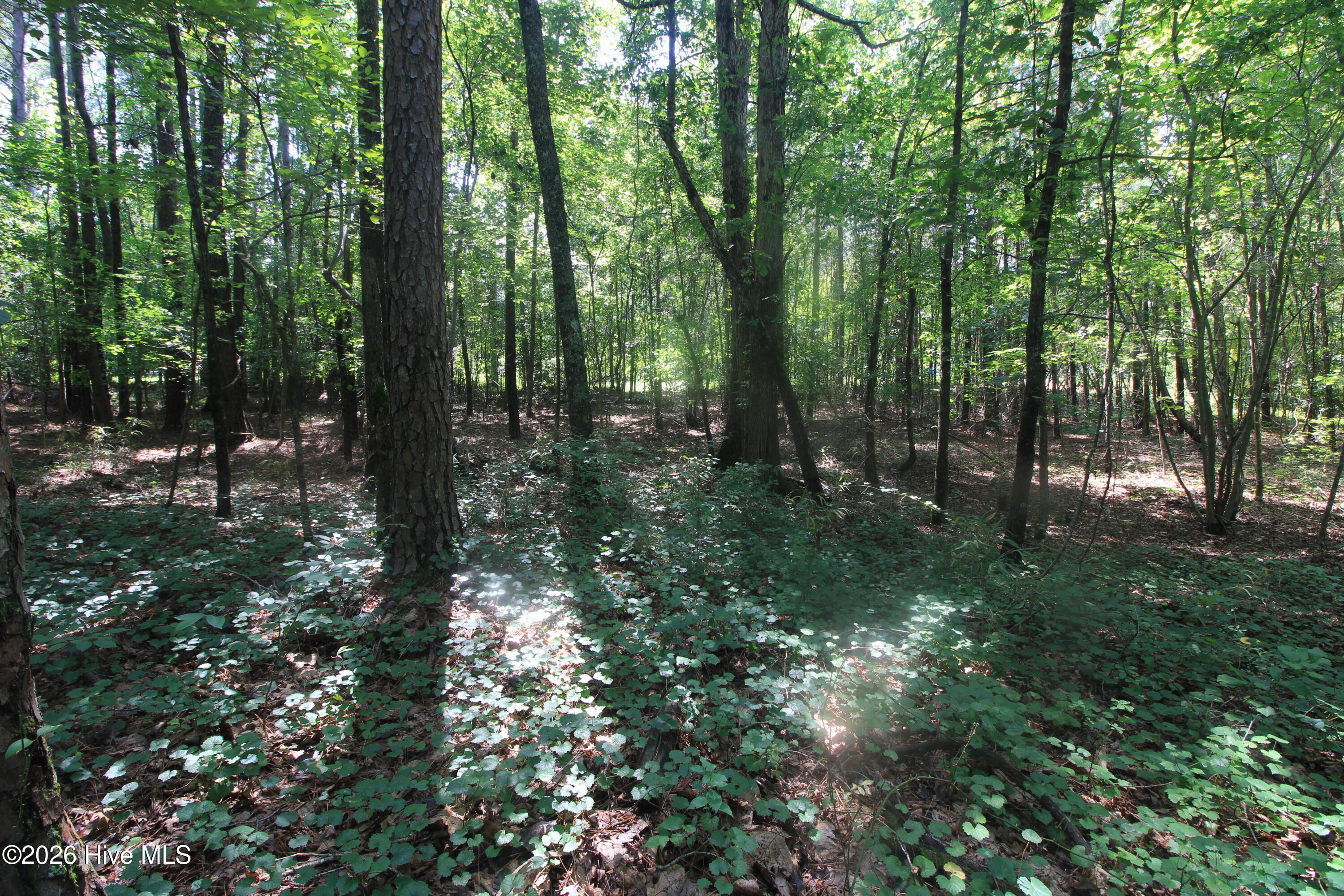 0 Crowatan Trail Property Photo 12