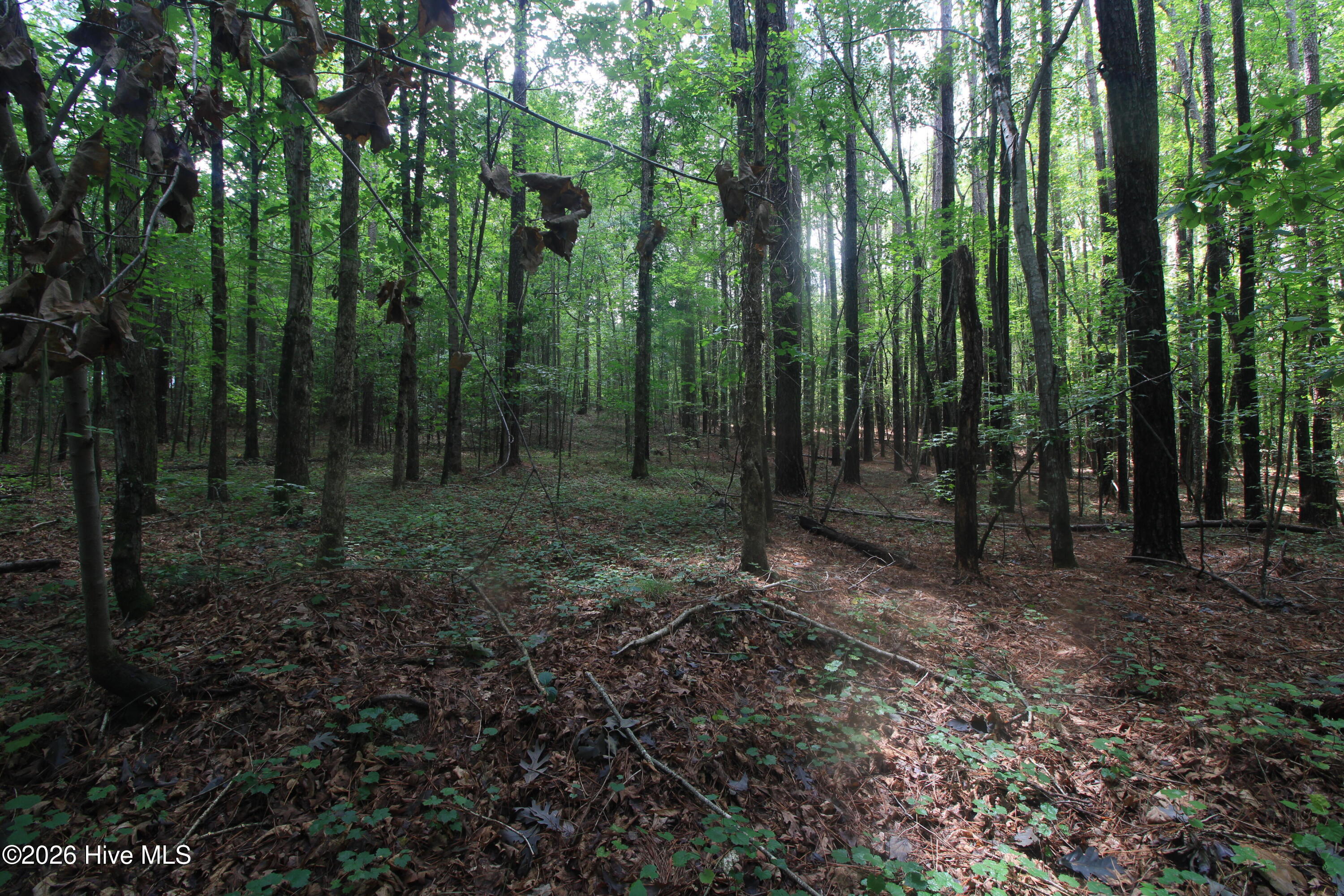 0 Crowatan Trail Property Photo 13