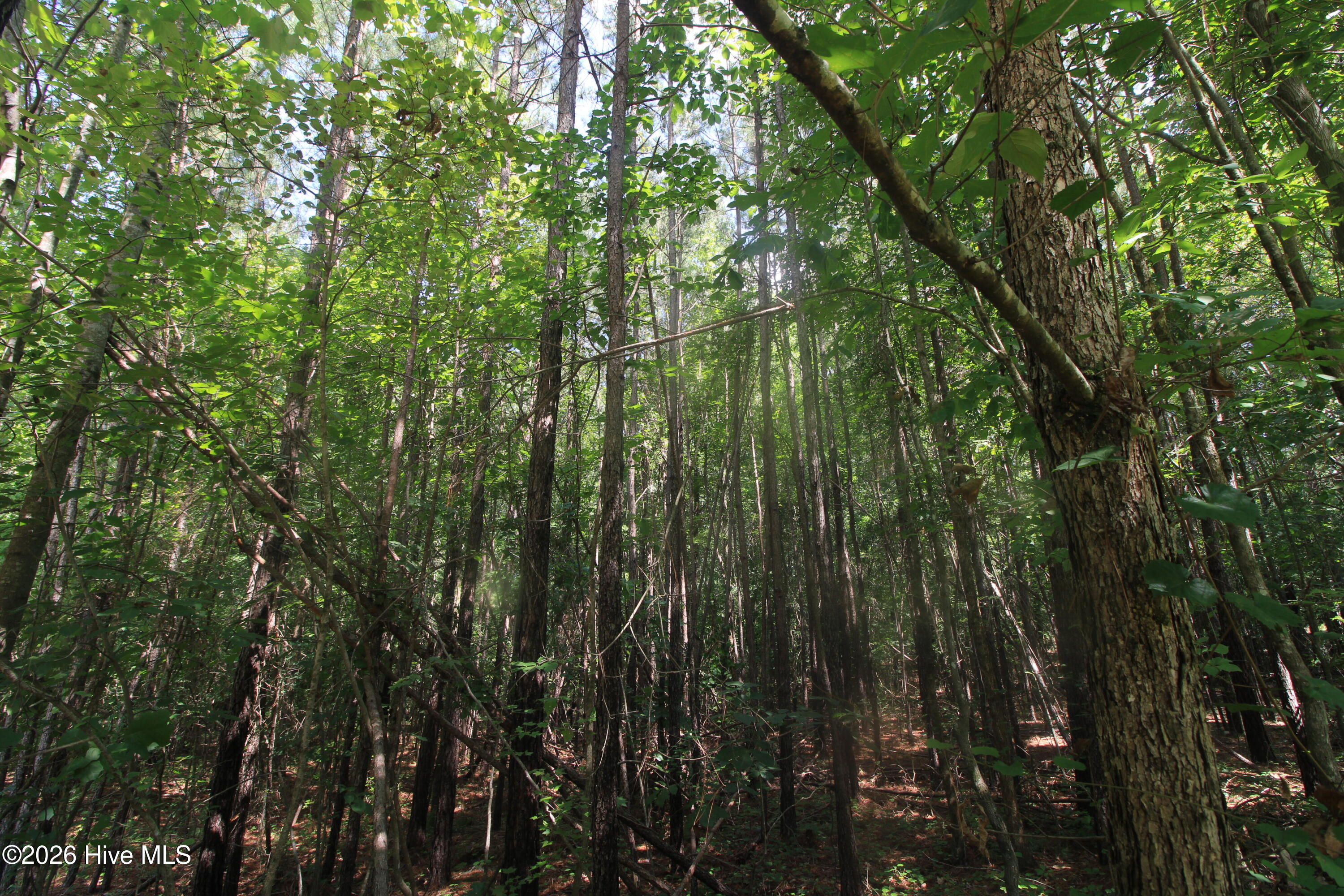 0 Crowatan Trail Property Photo 14