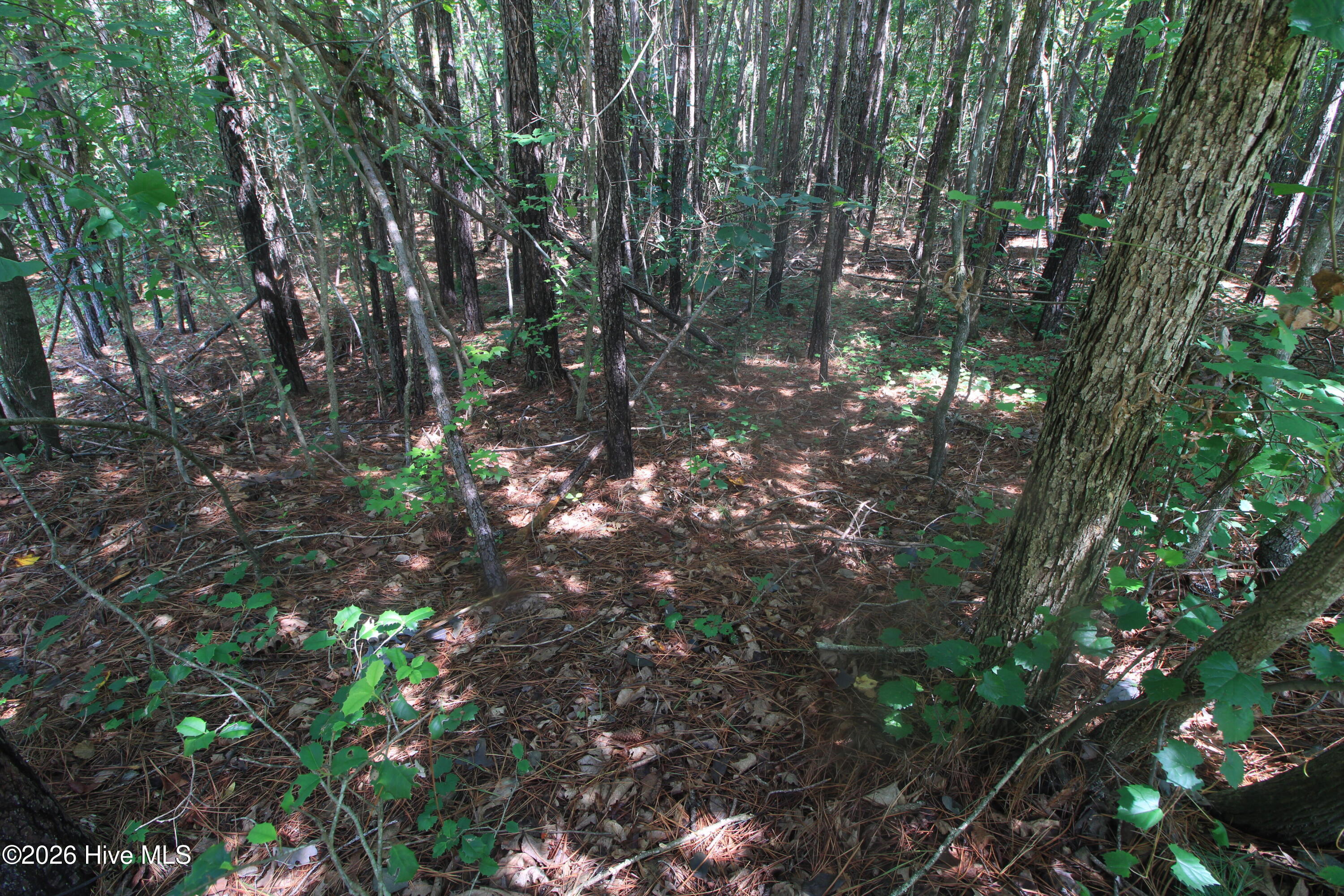 0 Crowatan Trail Property Photo 15