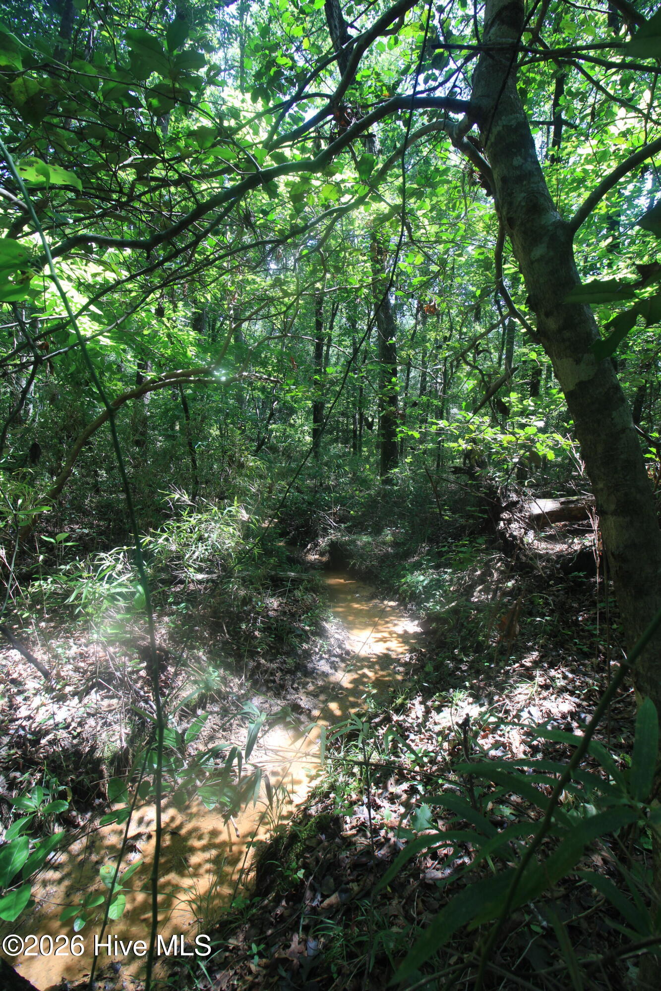 0 Crowatan Trail Property Photo 17