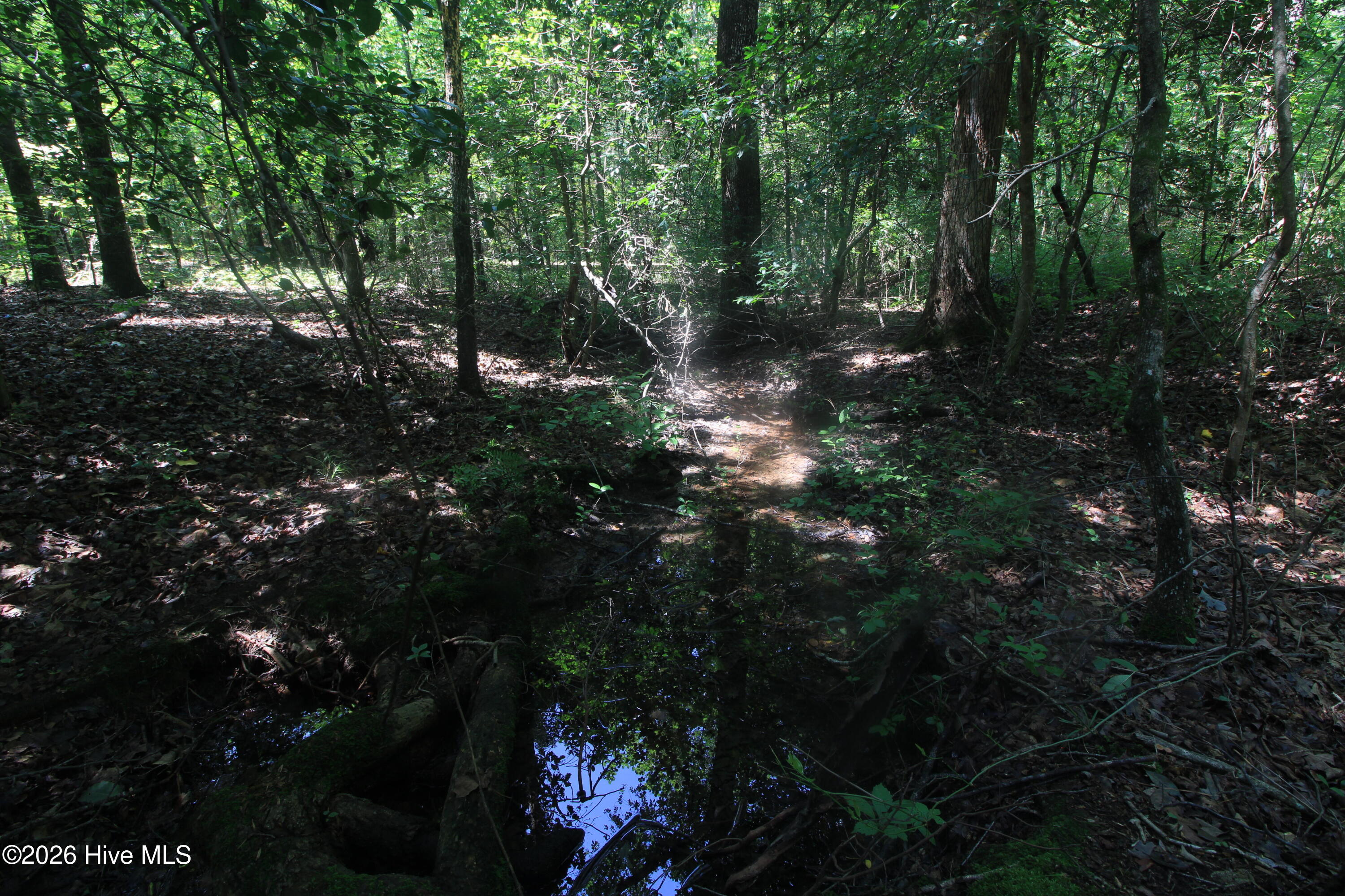 0 Crowatan Trail Property Photo 18