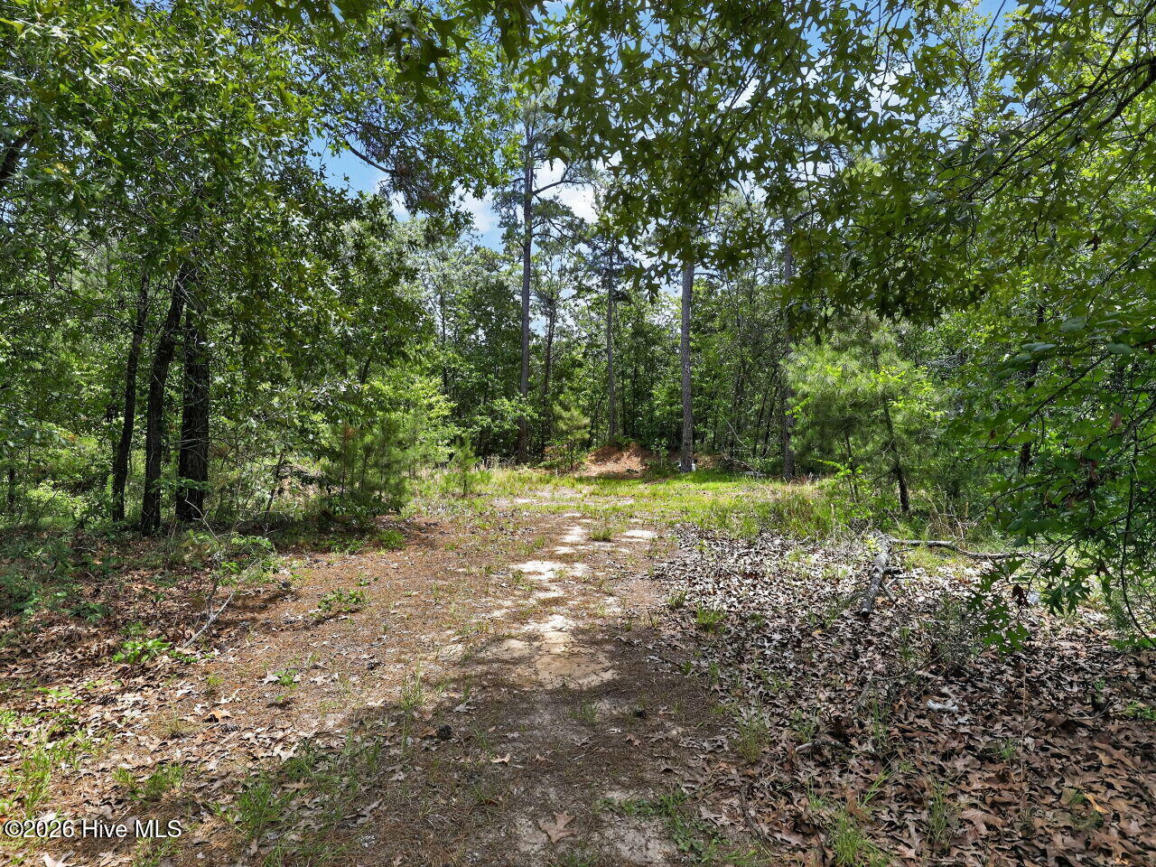 1030 Stubby Oaks Road Property Photo 32