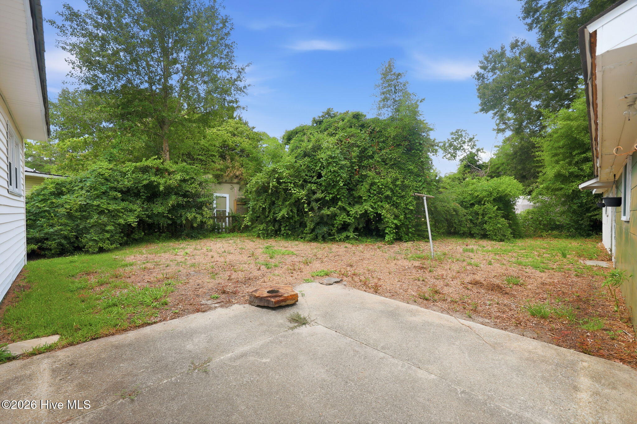 303 Banks Street Property Photo 36