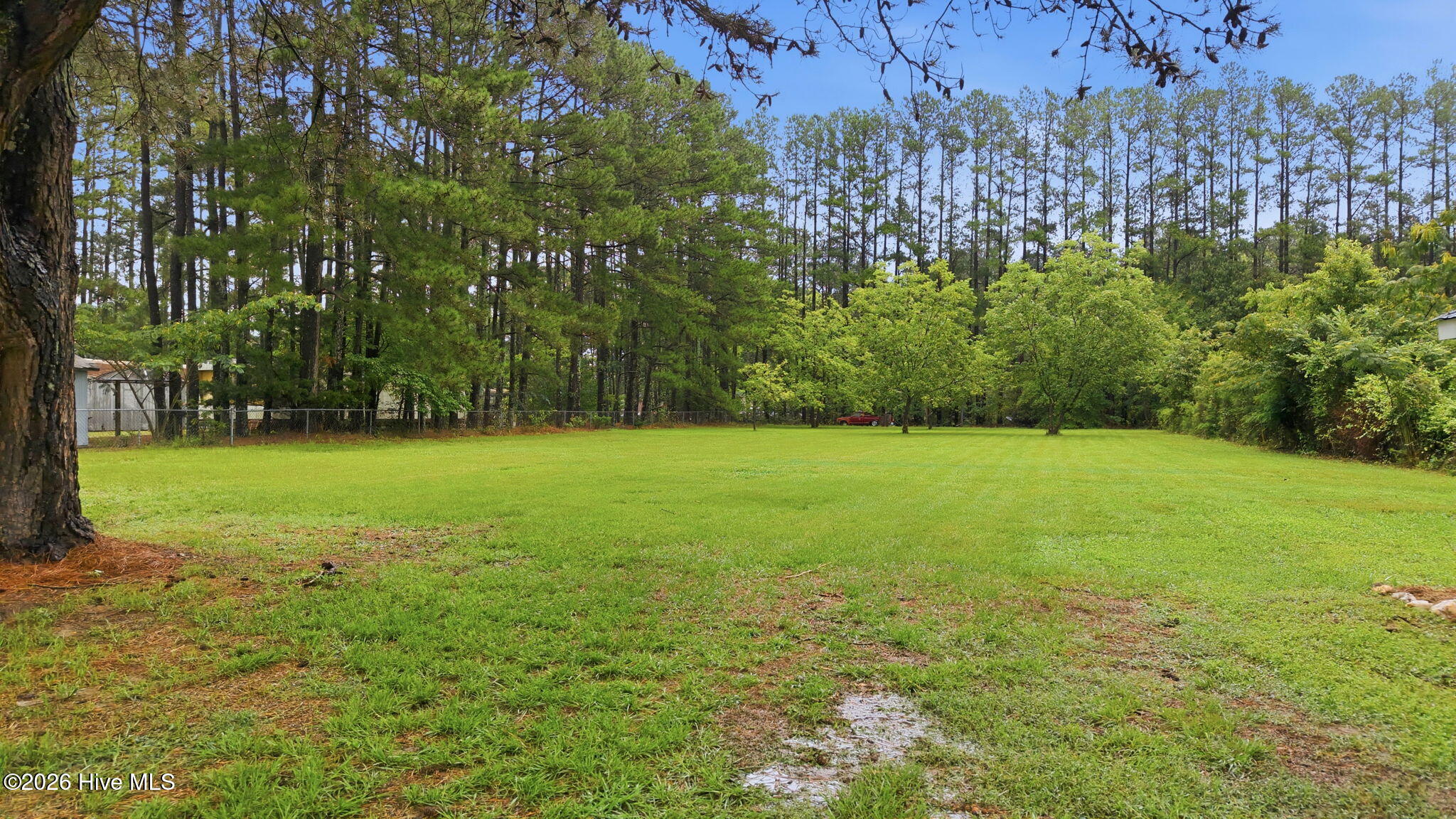 9111 Pace Road Property Photo 37