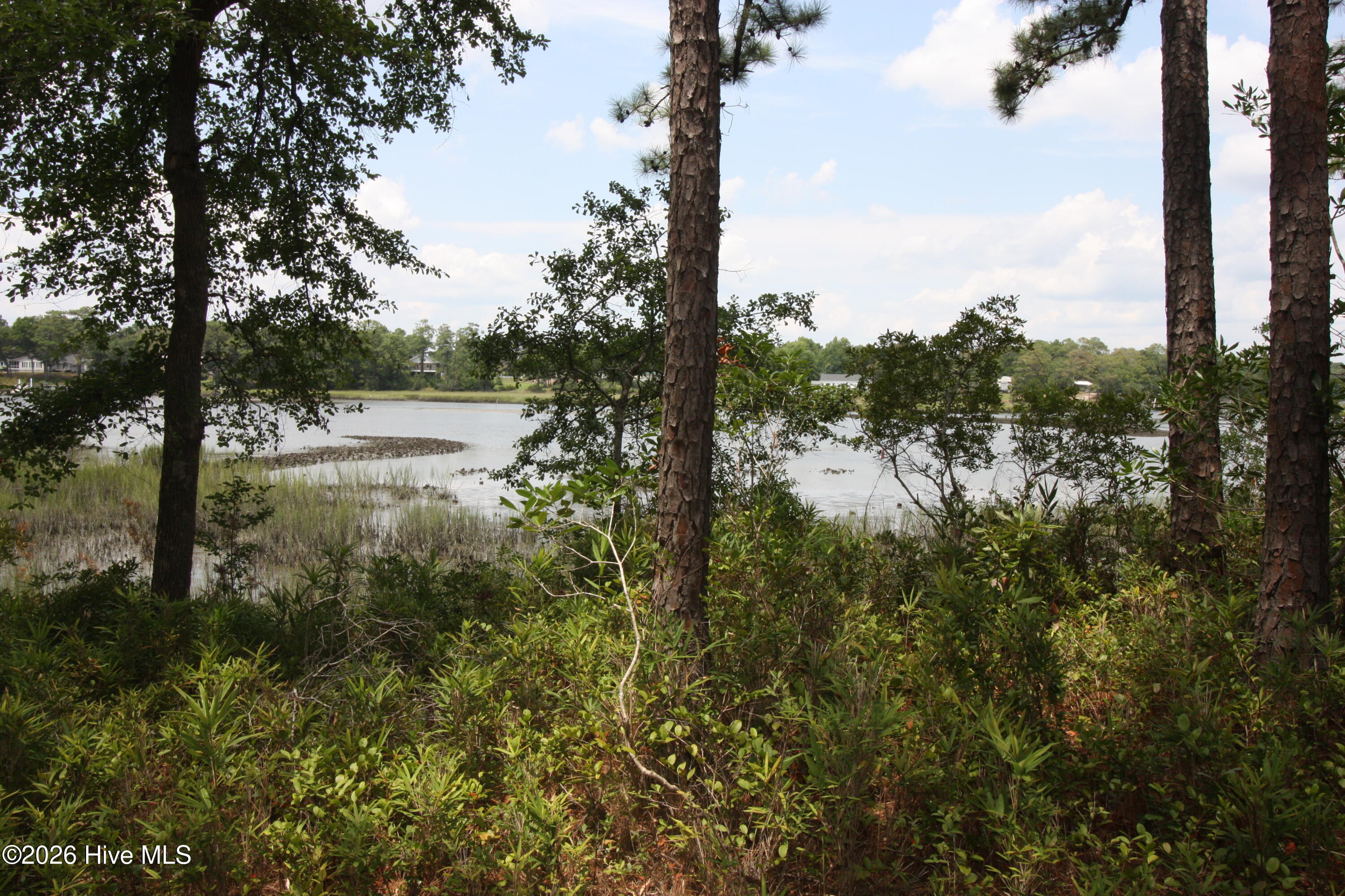 1809 63 Harbour Edge Lane Sw Property Photo 3