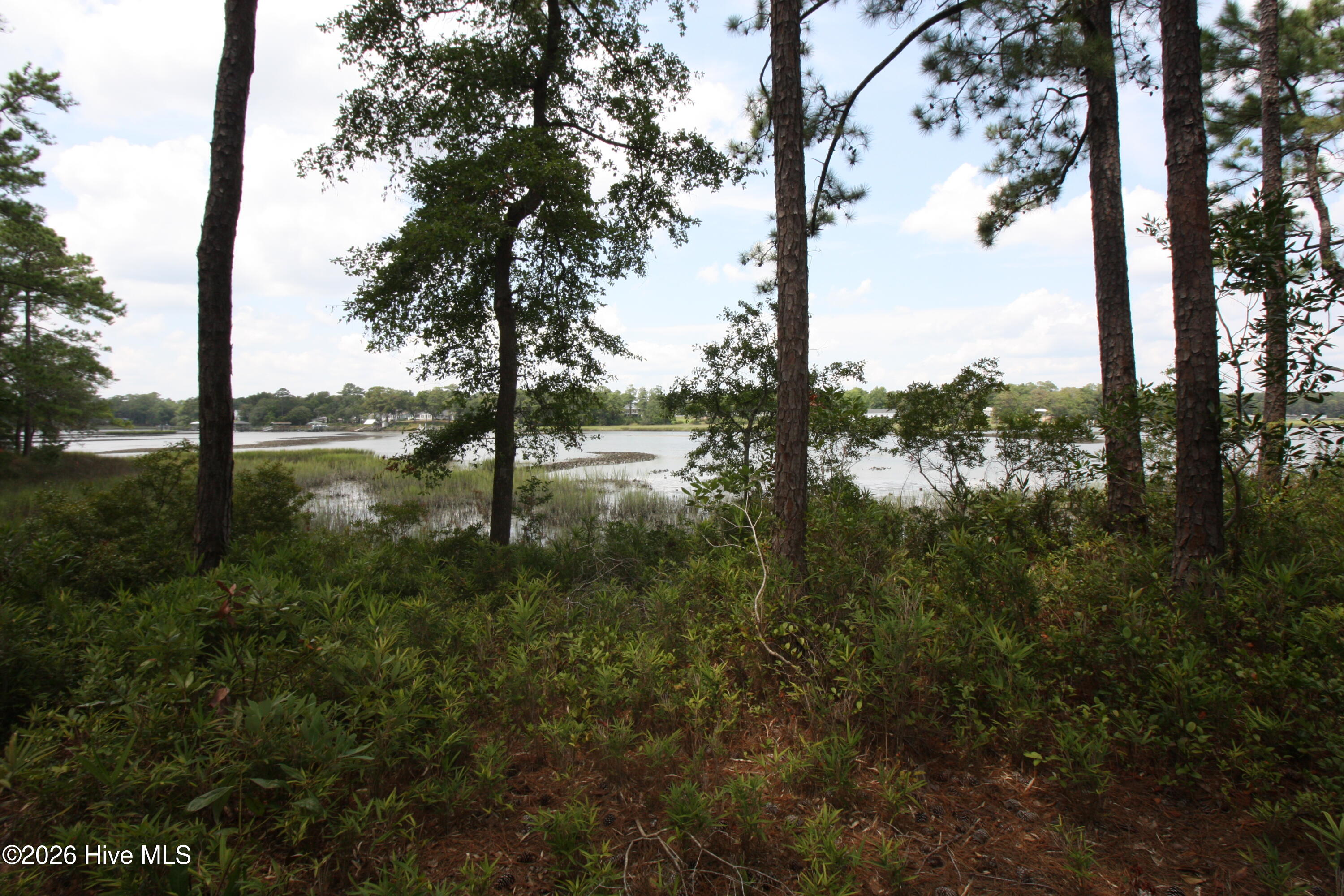 1809 63 Harbour Edge Lane Sw Property Photo 5