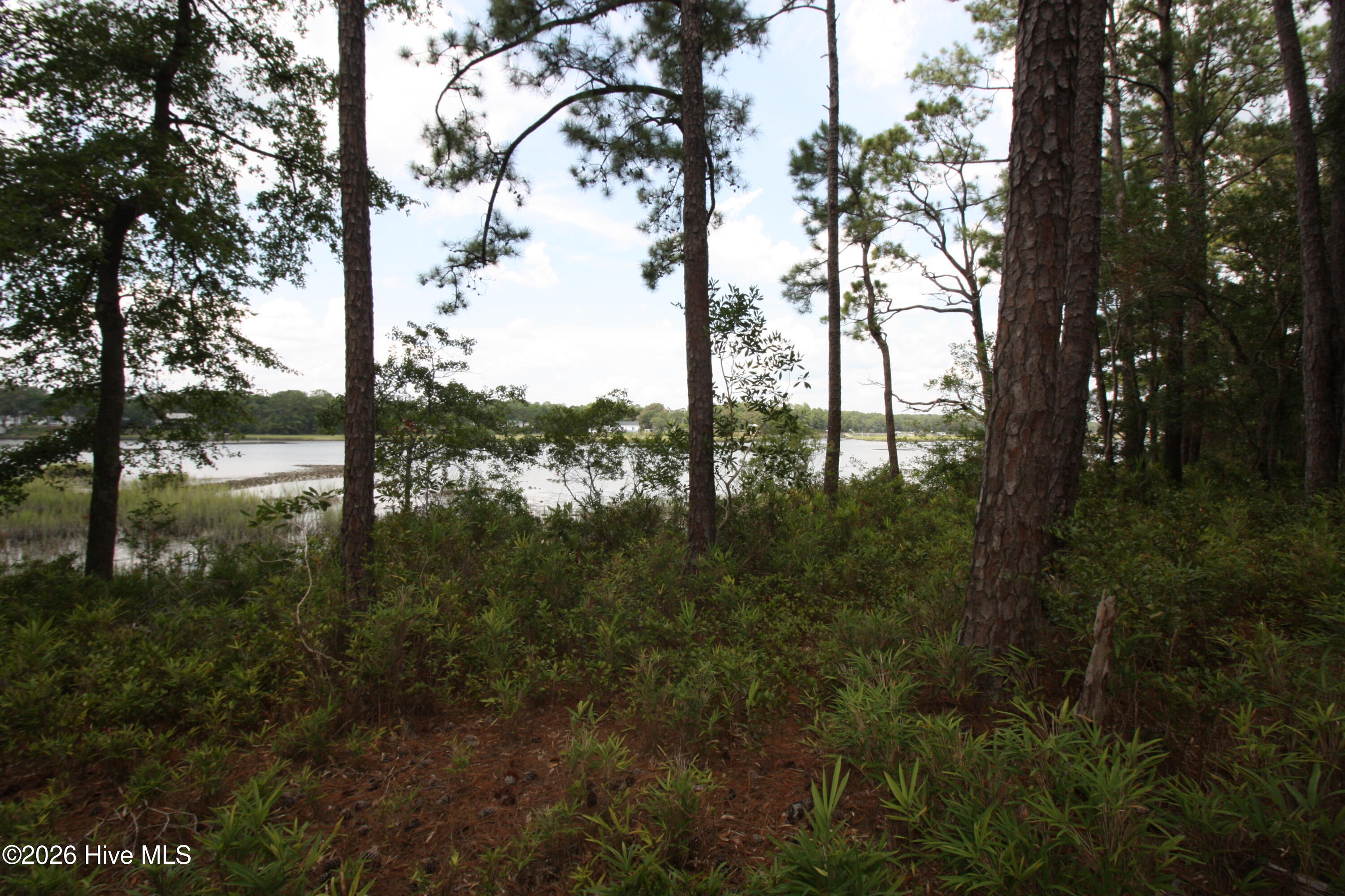 1809 63 Harbour Edge Lane Sw Property Photo 7
