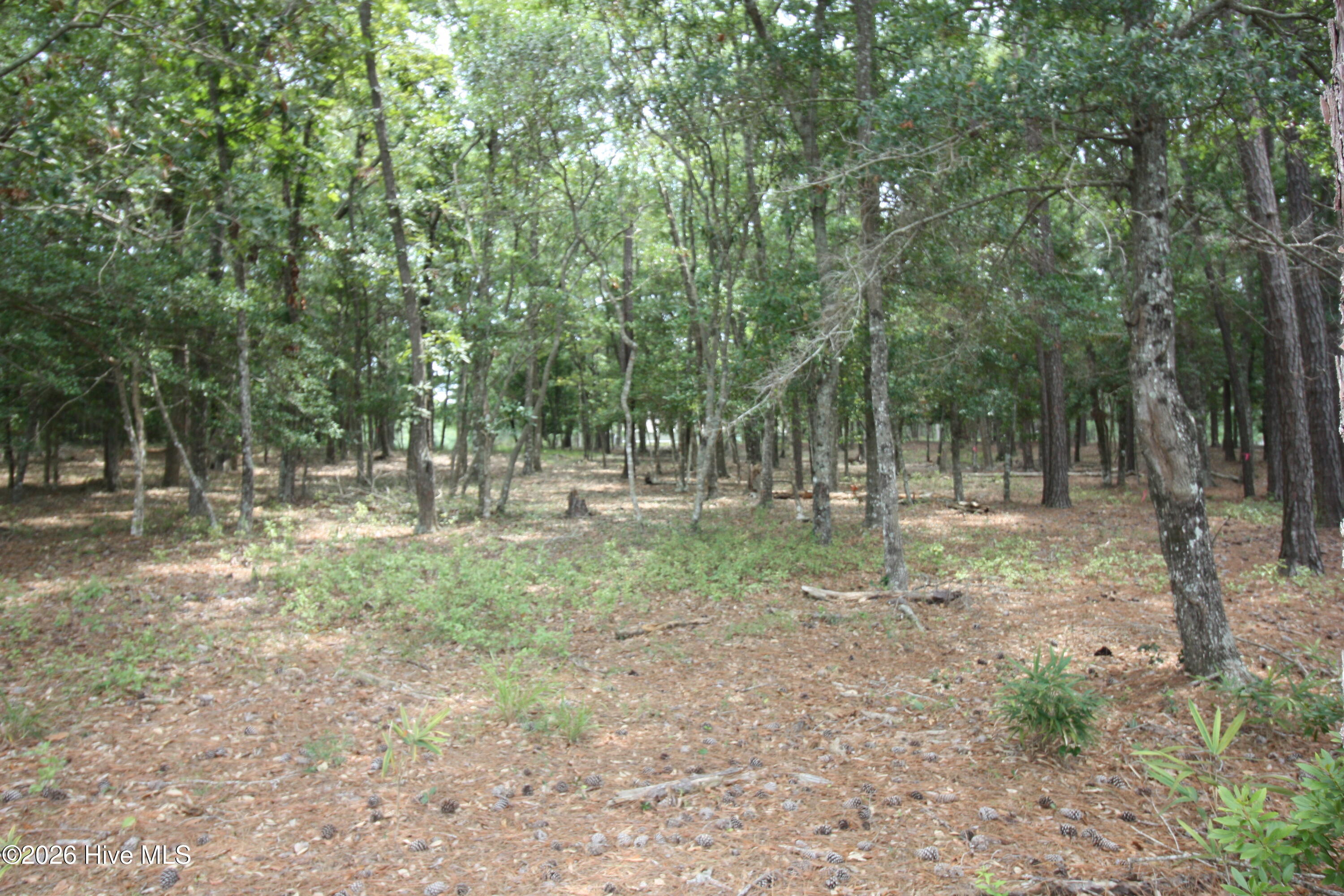 1809 63 Harbour Edge Lane Sw Property Photo 11