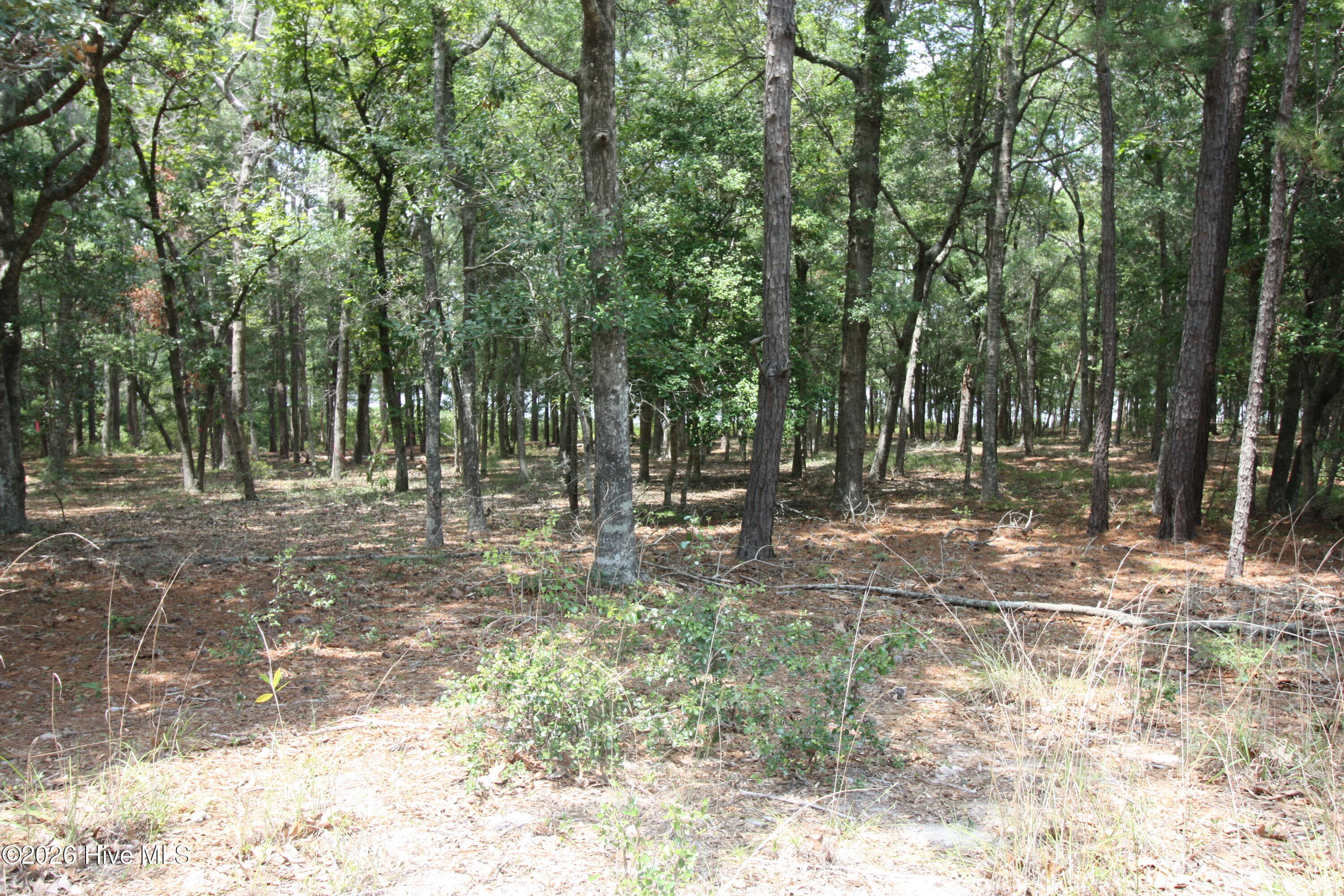1809 63 Harbour Edge Lane Sw Property Photo 13