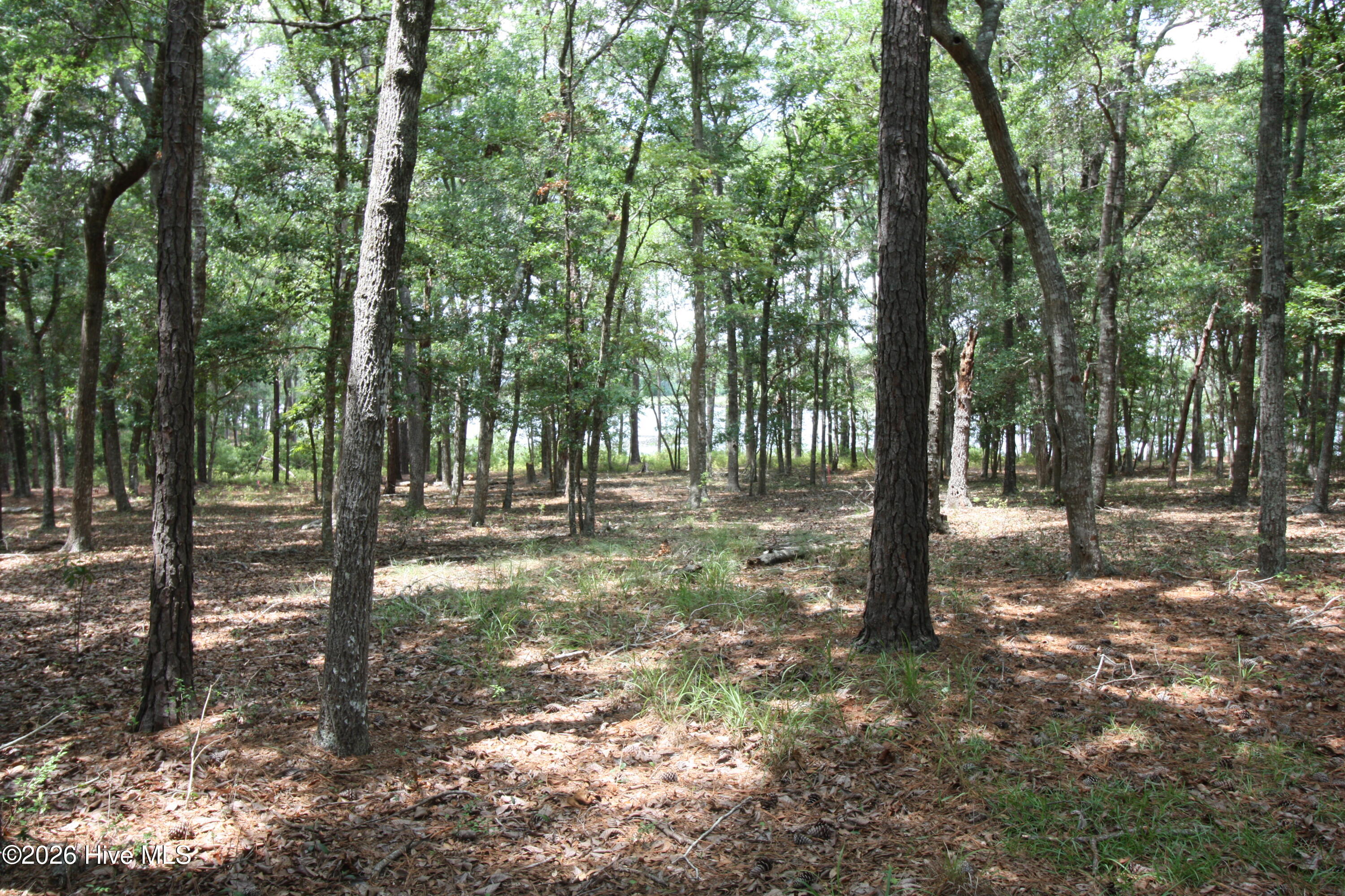 1809 63 Harbour Edge Lane Sw Property Photo 15