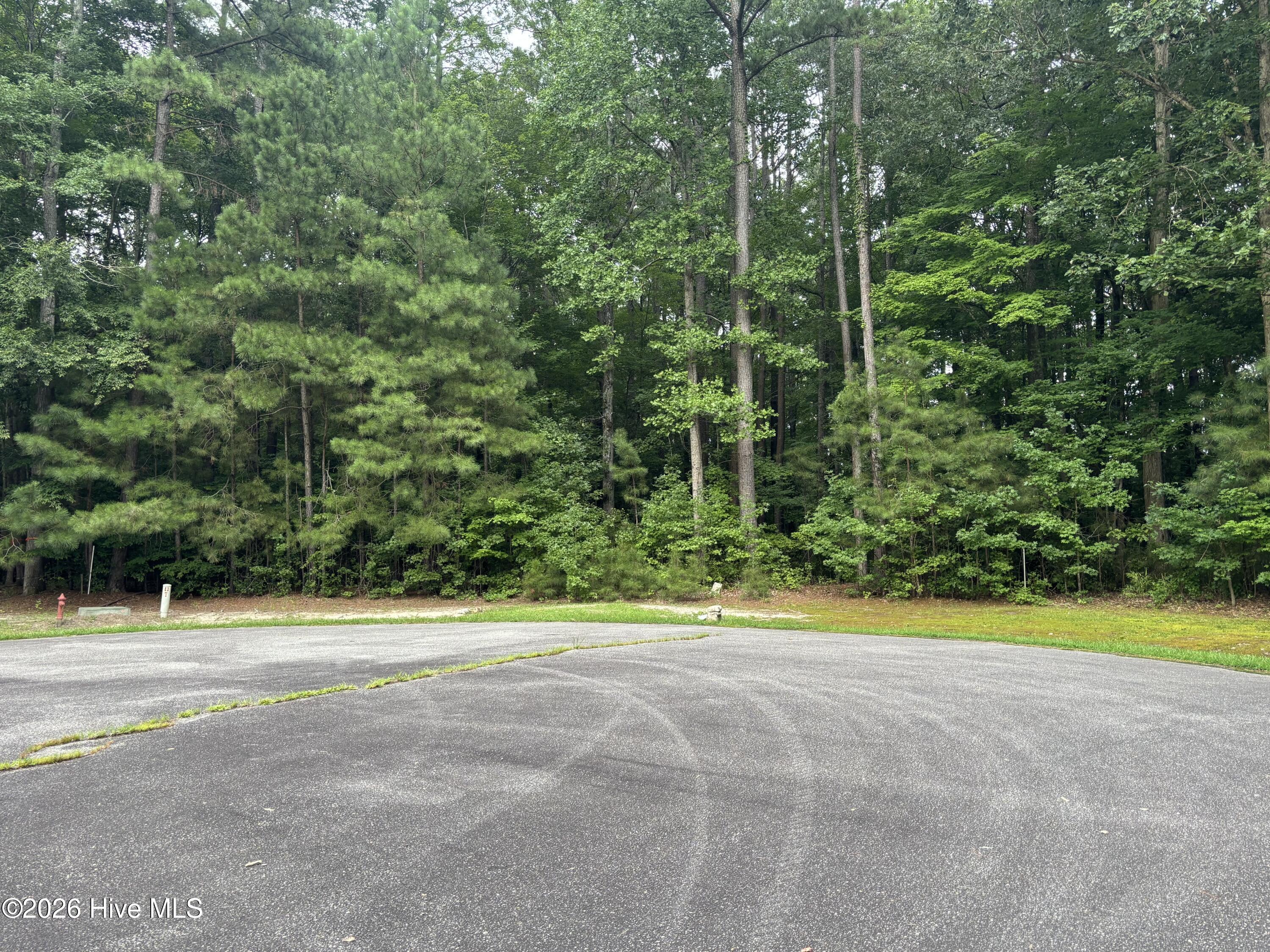 Lot 78 78 Roberta Drive Property Photo 1