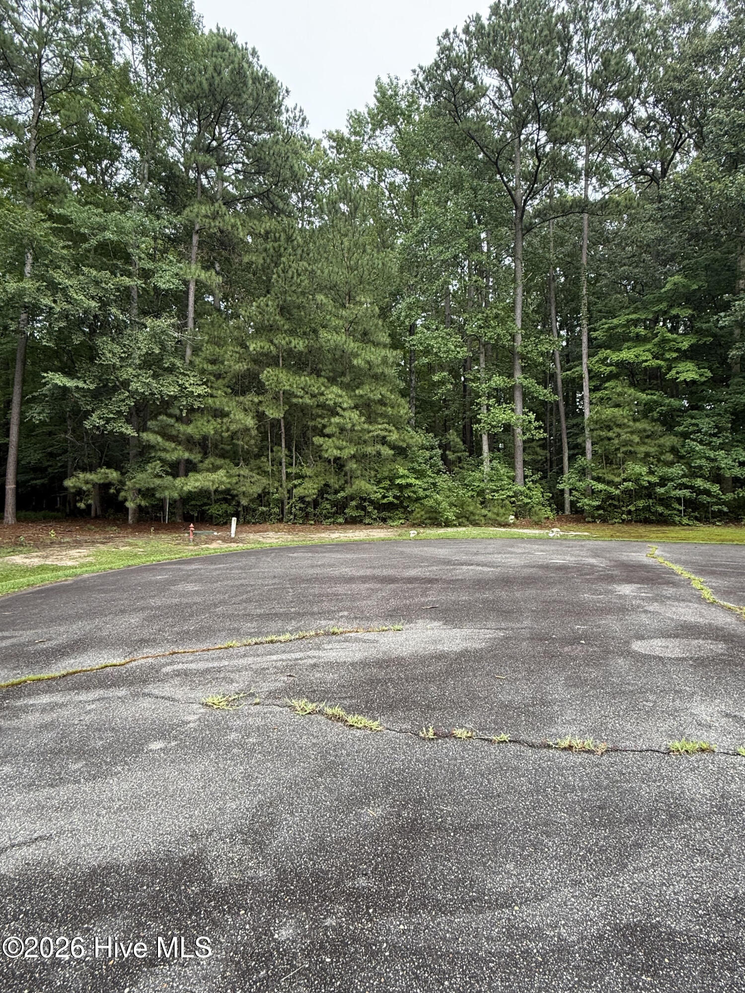Lot 78 78 Roberta Drive Property Photo 3