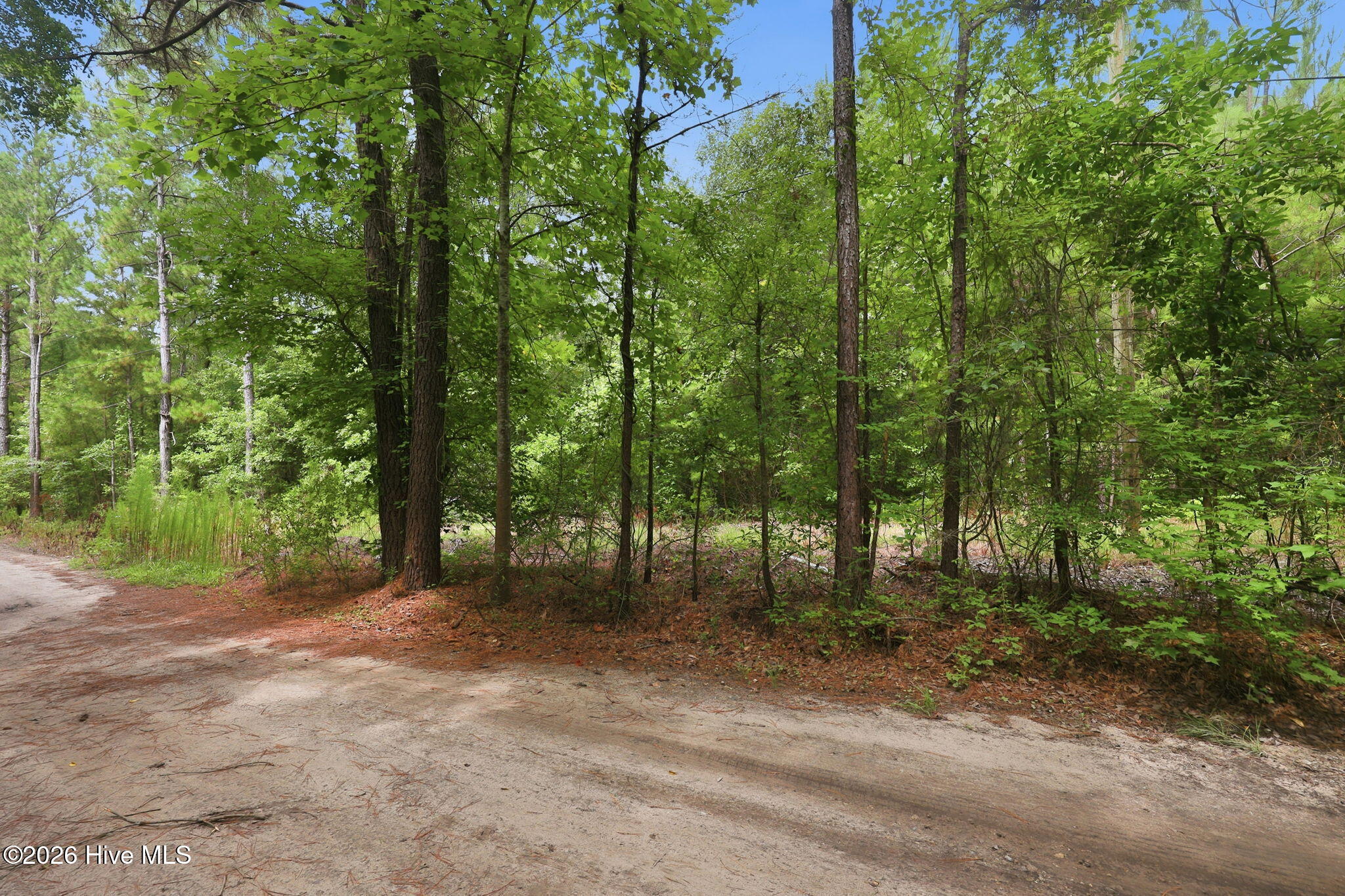 0 Copperhead Lane Property Photo 2