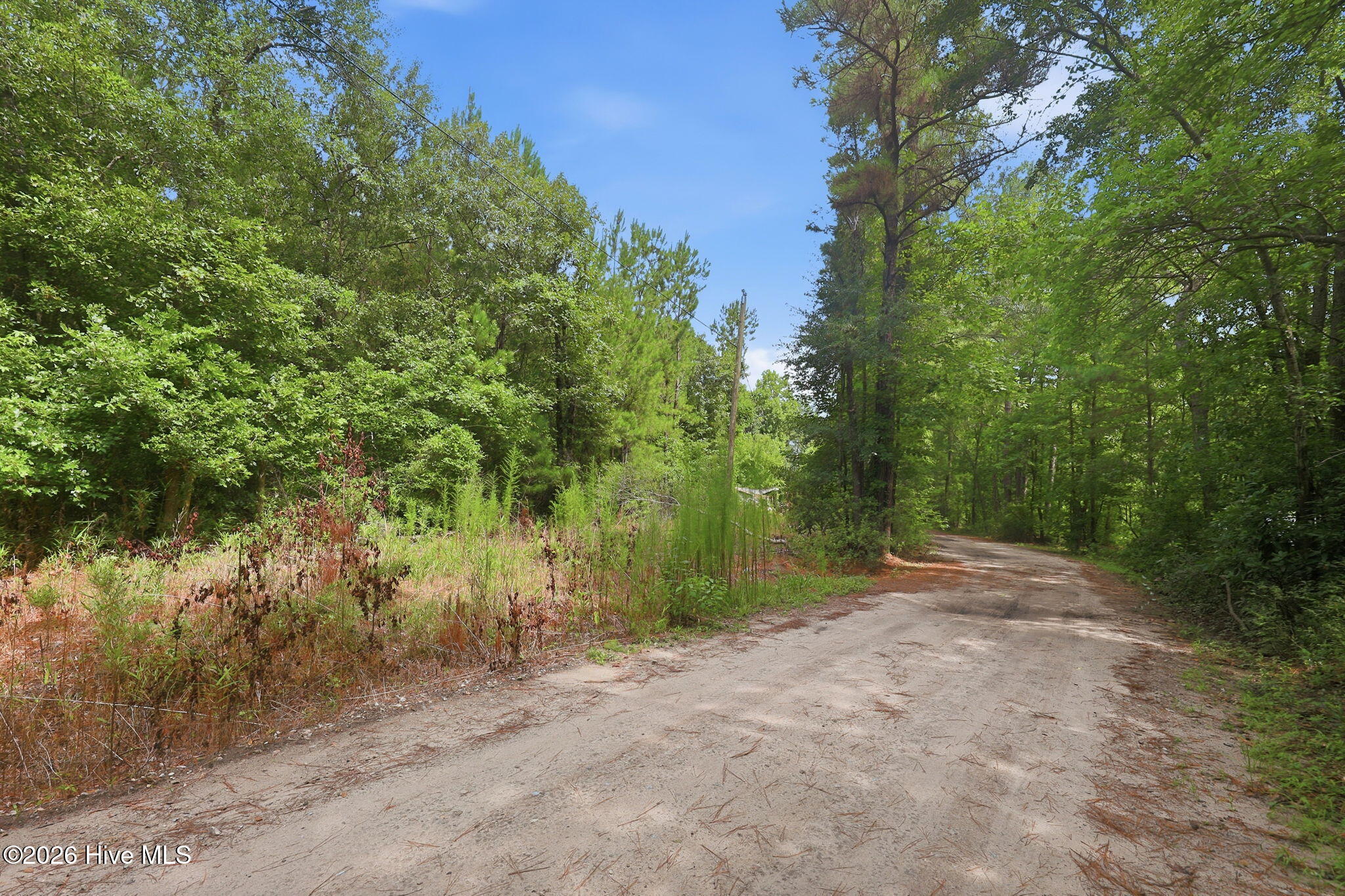 0 Copperhead Lane Property Photo 3