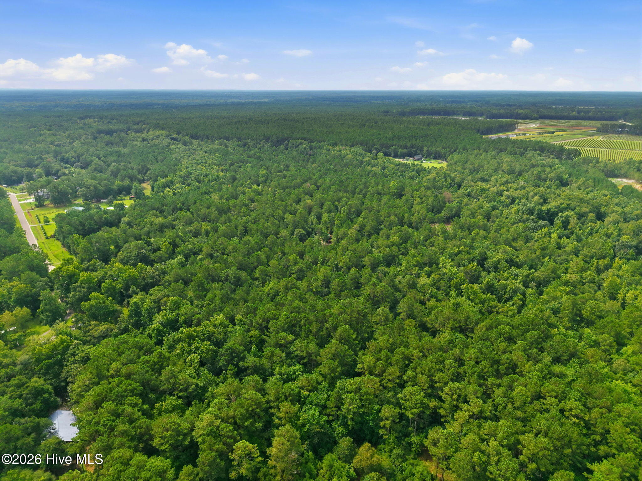 0 Copperhead Lane Property Photo 7